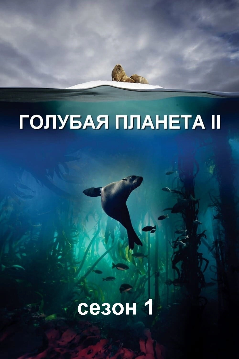 Blue Planet II
