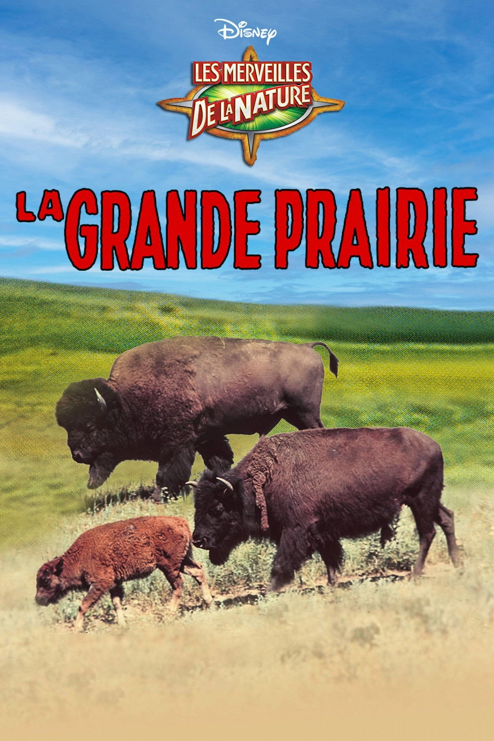 The Vanishing Prairie
