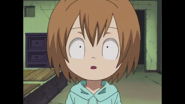 Shaman King