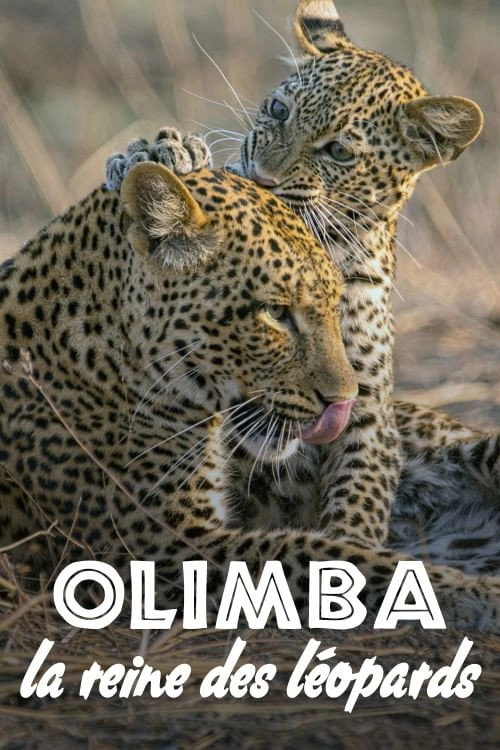 The Leopard Legacy