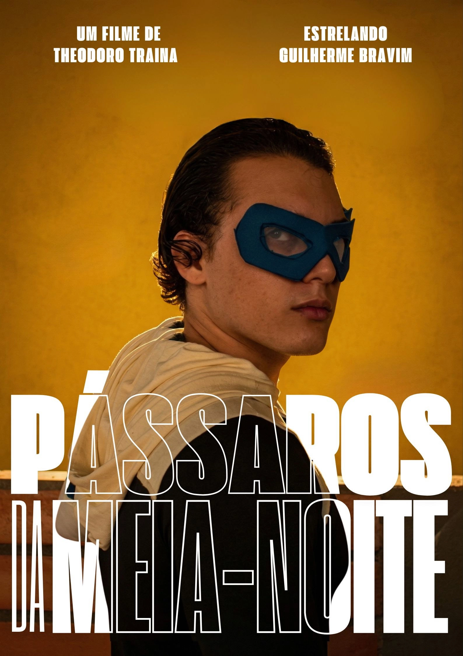 Pássaros da Meia noite
