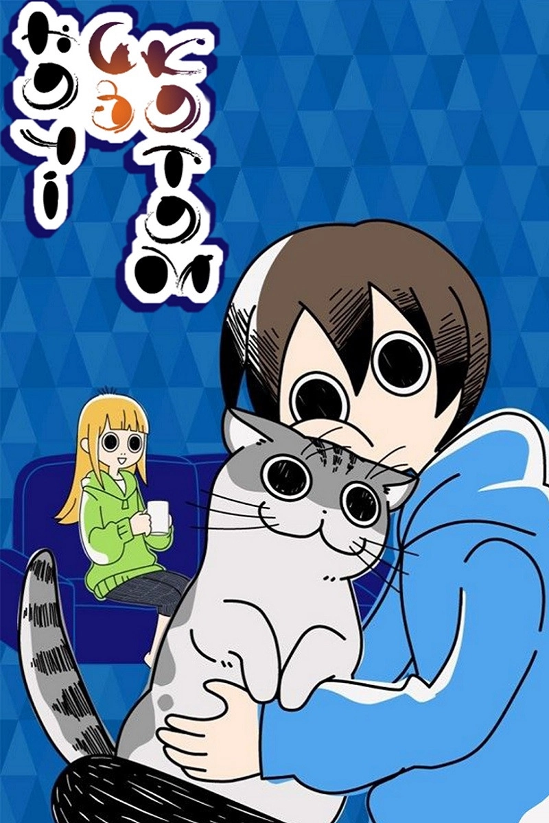 Nights with a Cat