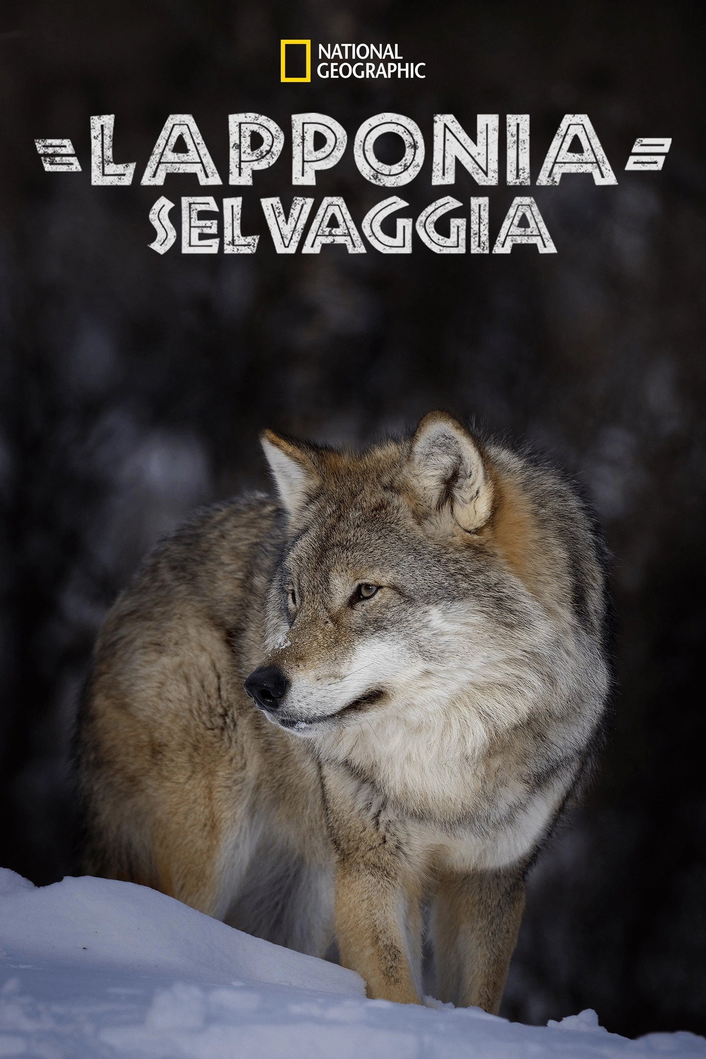 Wild Lapland