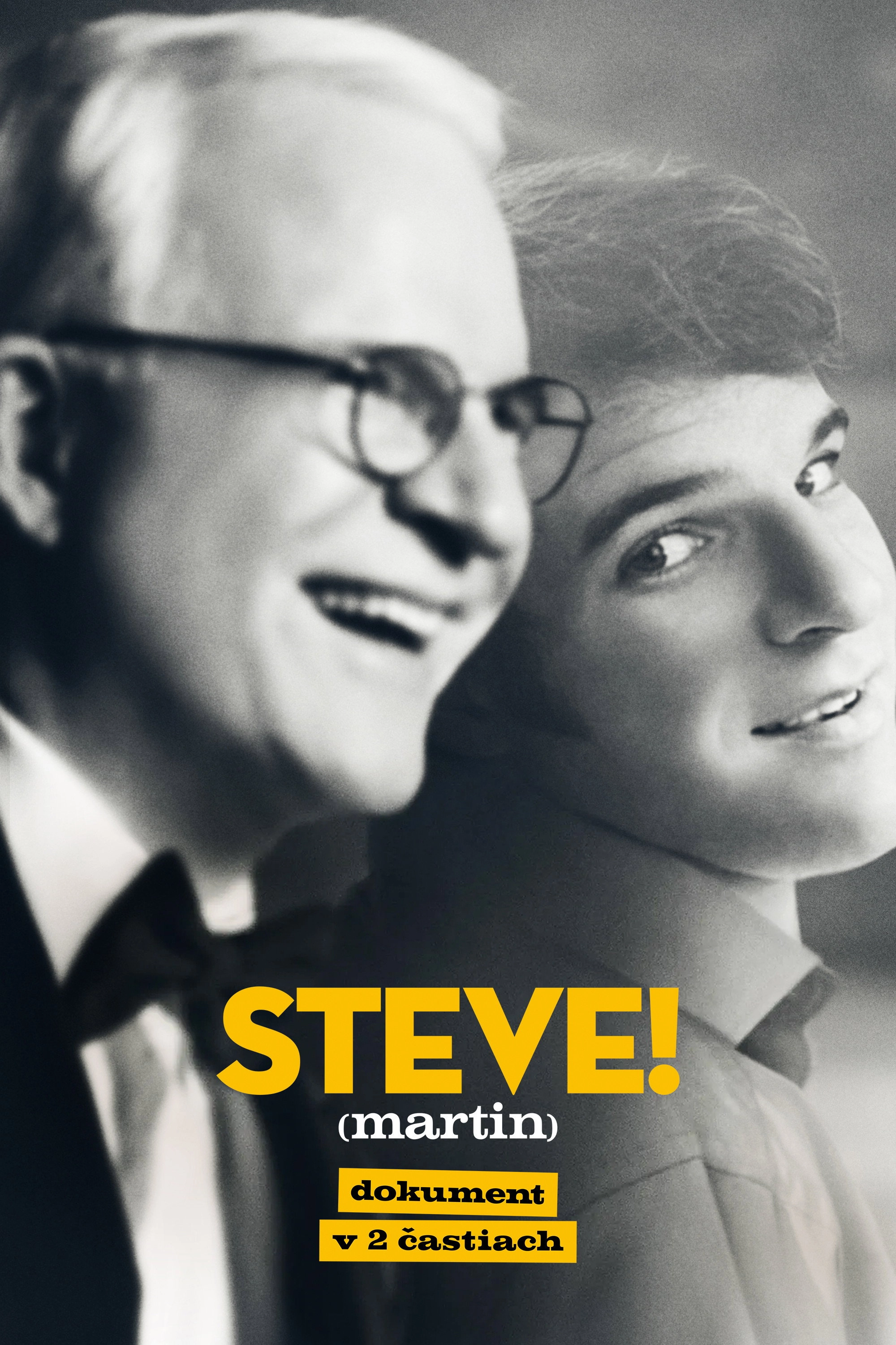 STEVE! (martin) a documentary in 2 pieces