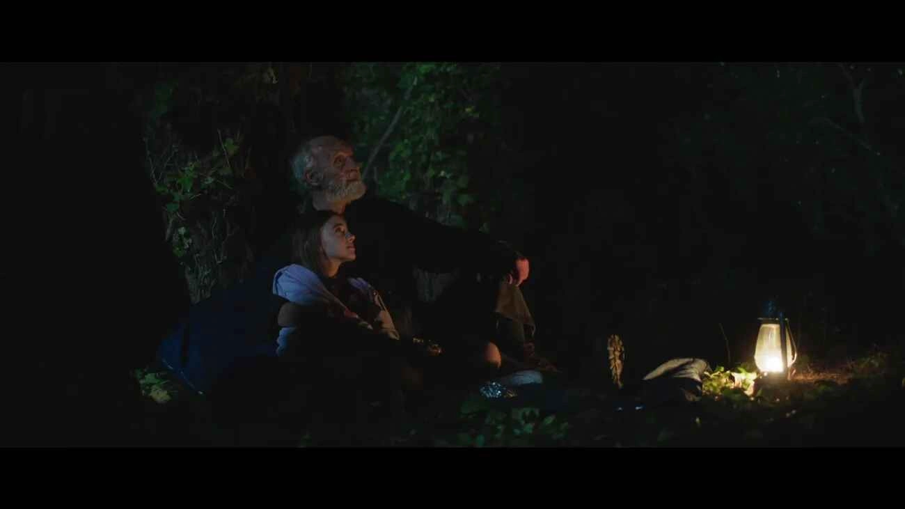 The Wilder