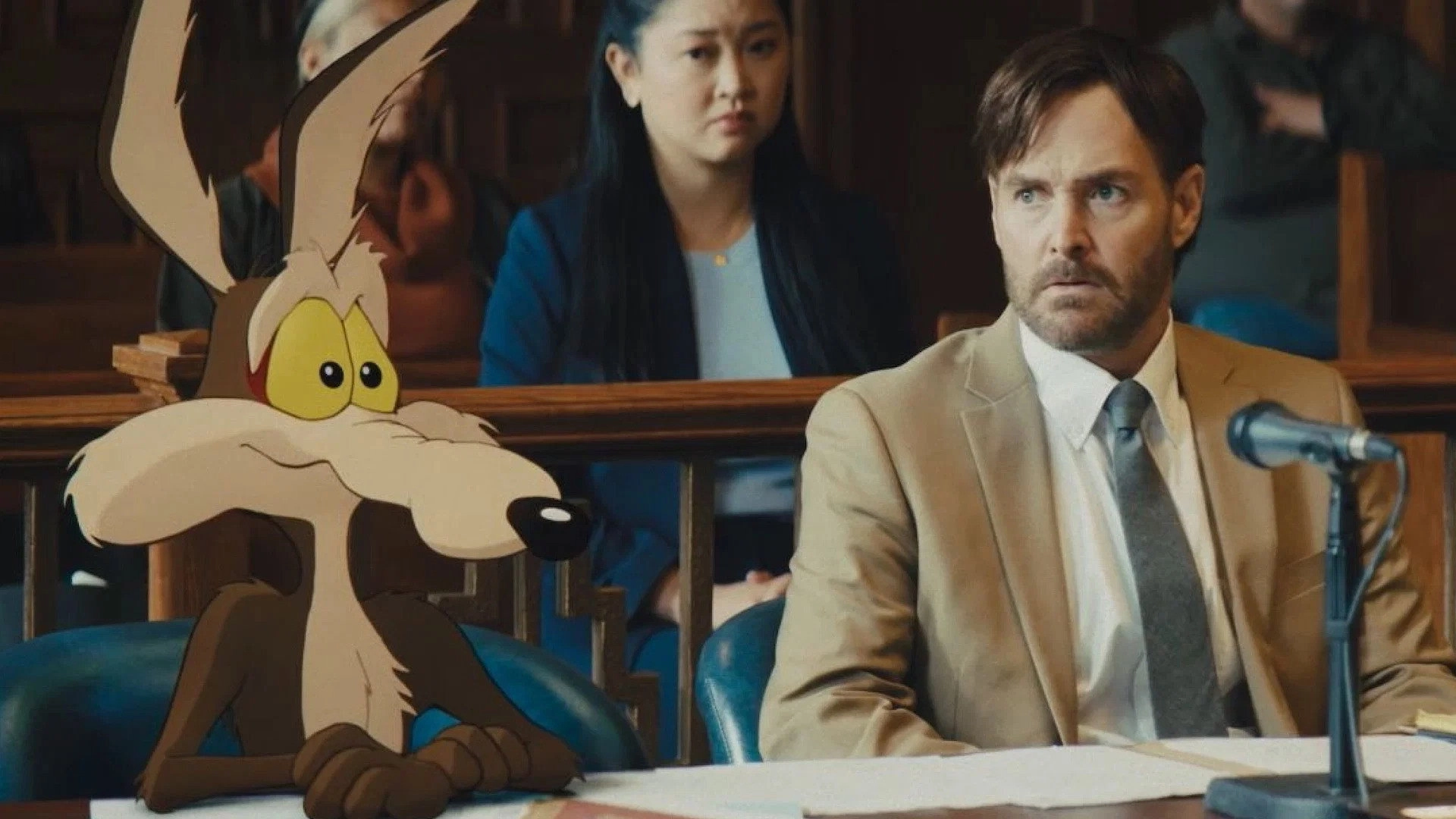 Coyote vs ACME