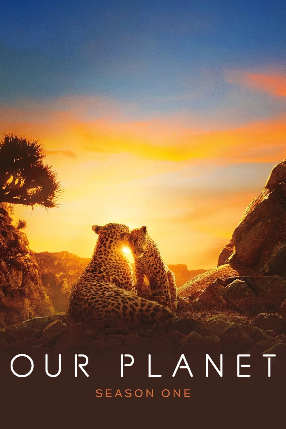 Our Planet