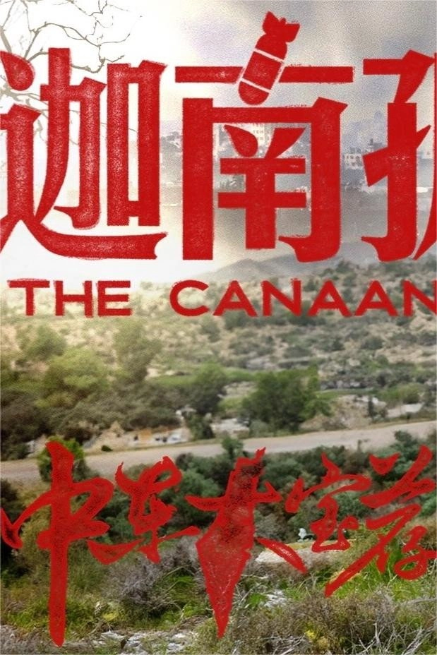 中东大宝荐