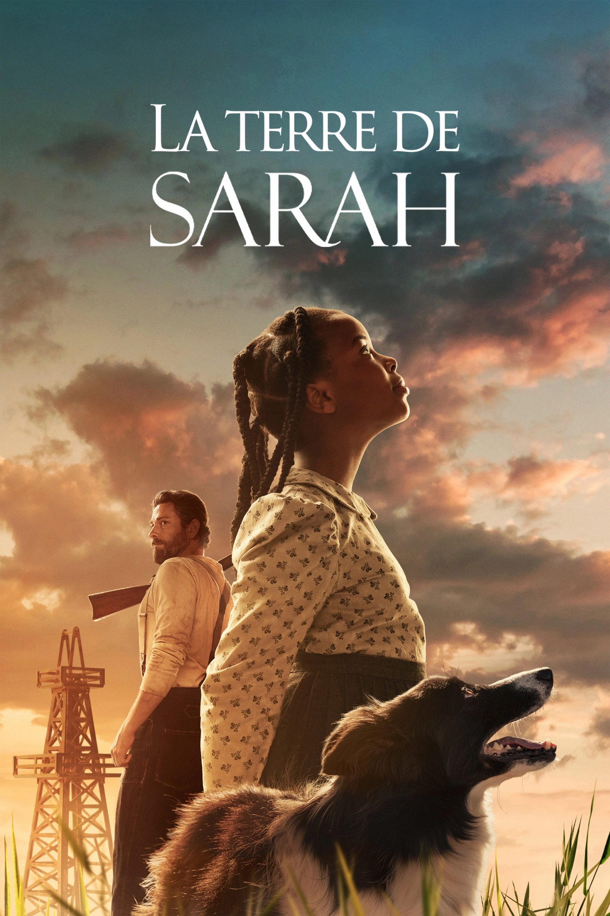 Sarah's Oil