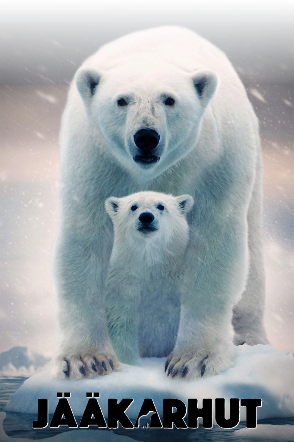 Polar Bear