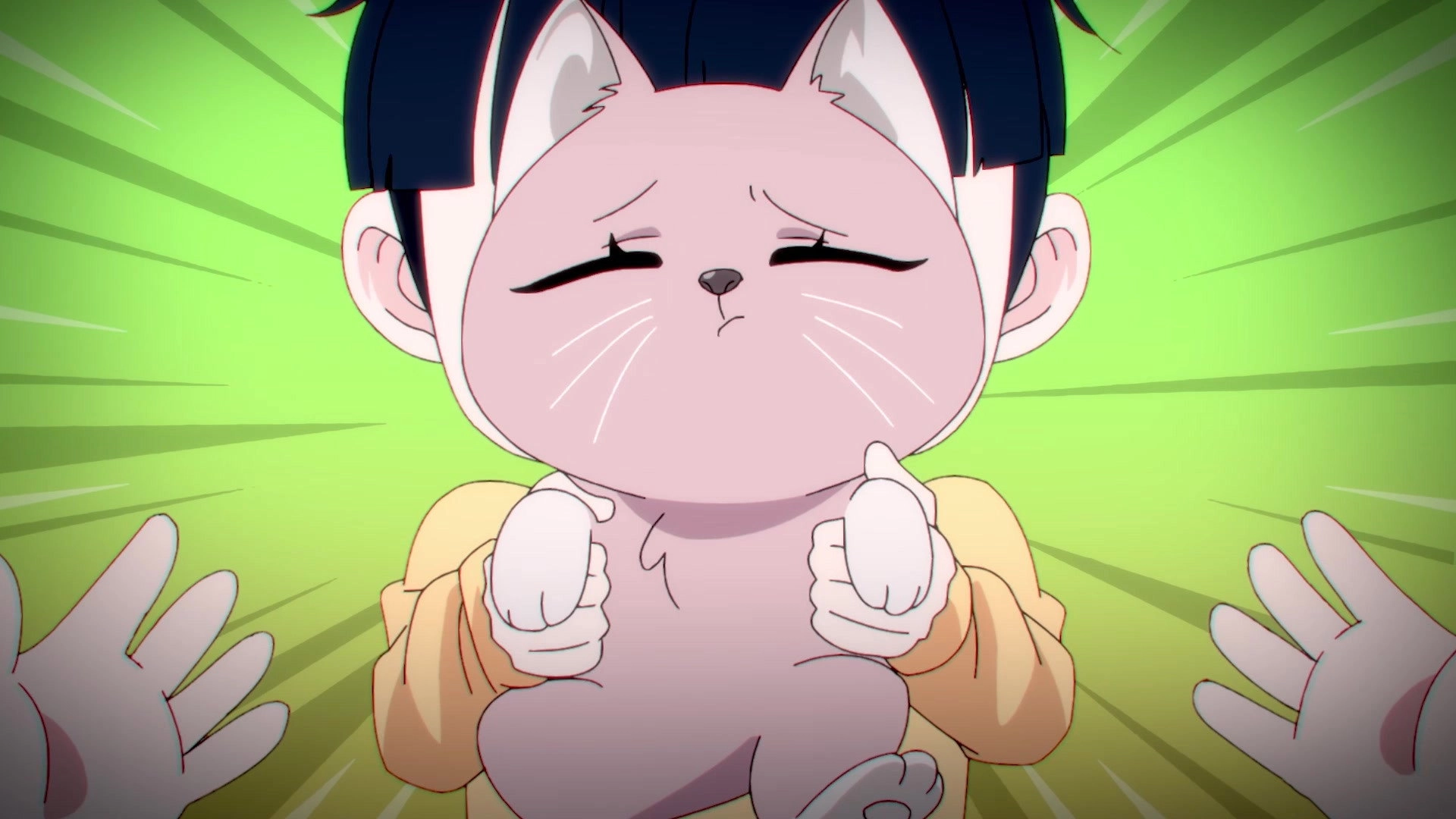 Reborn as a Cat