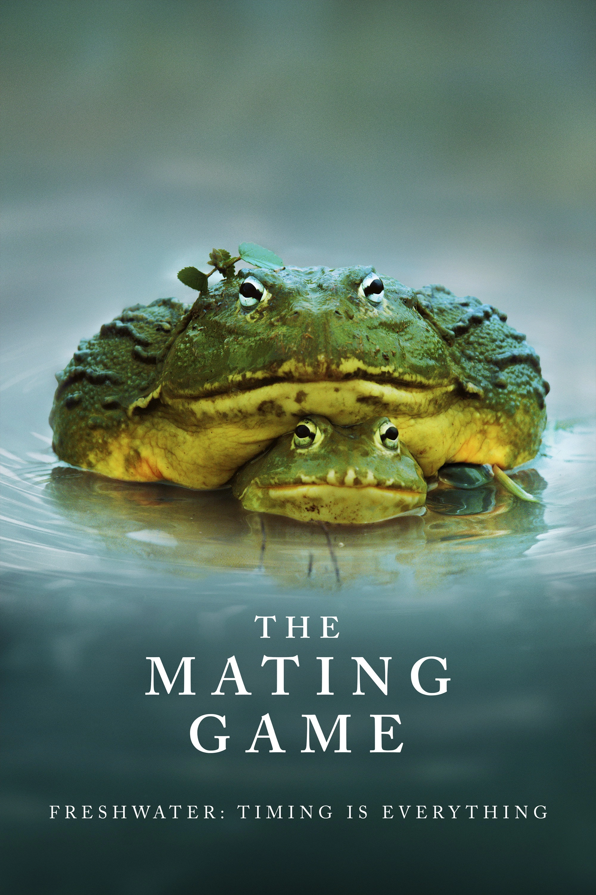 The Mating Game