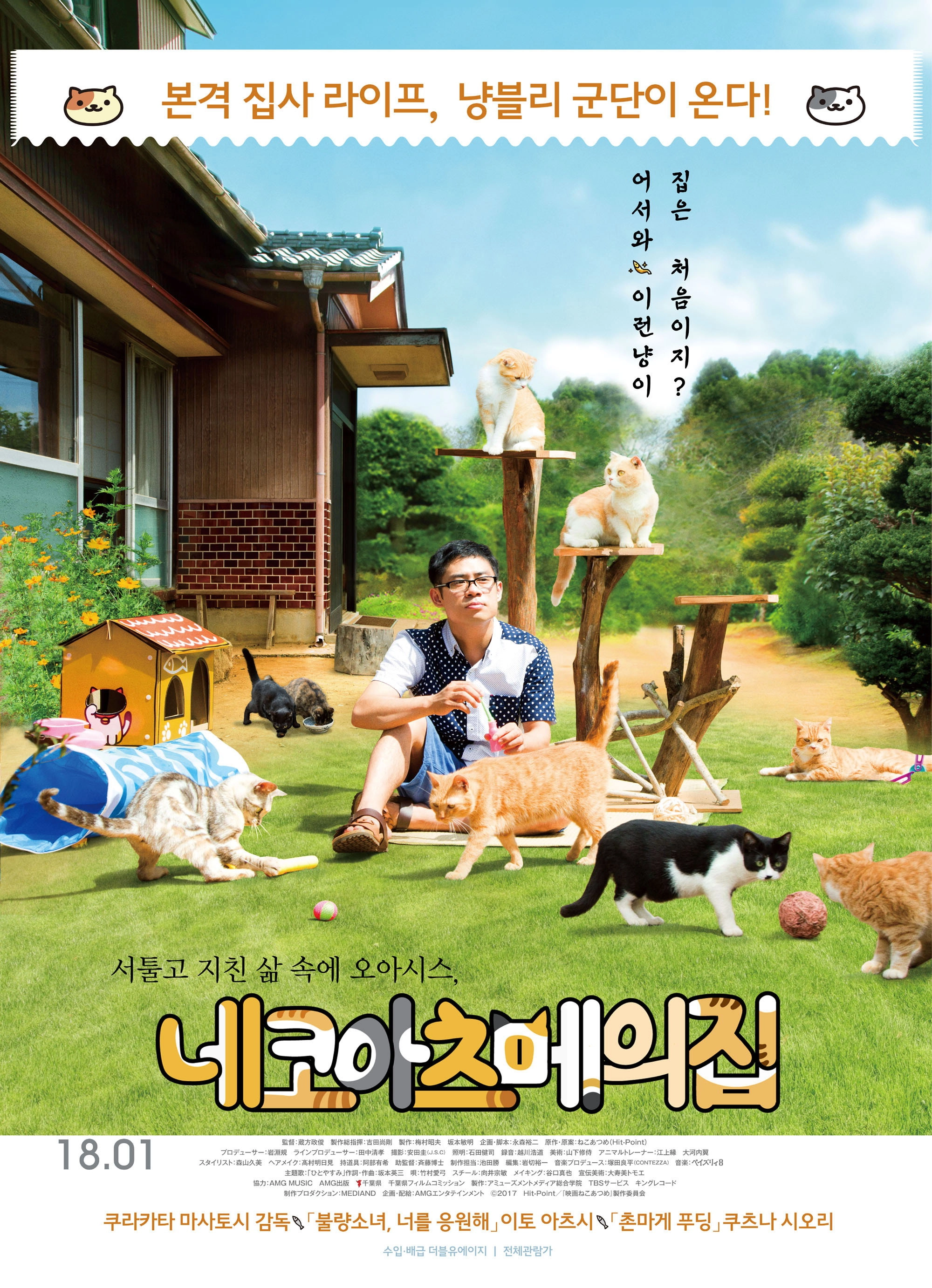 Neko Atsume House