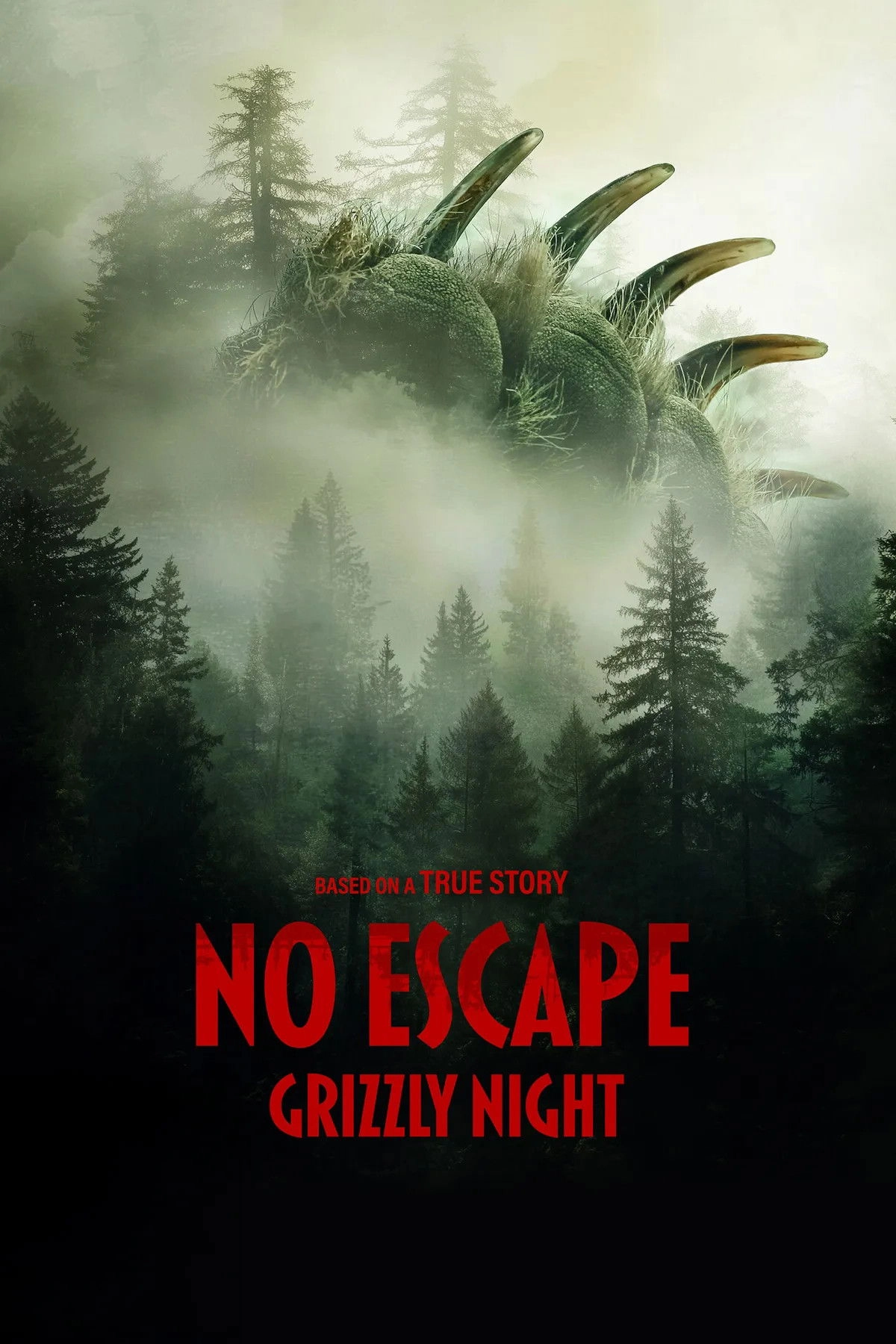 Grizzly Night