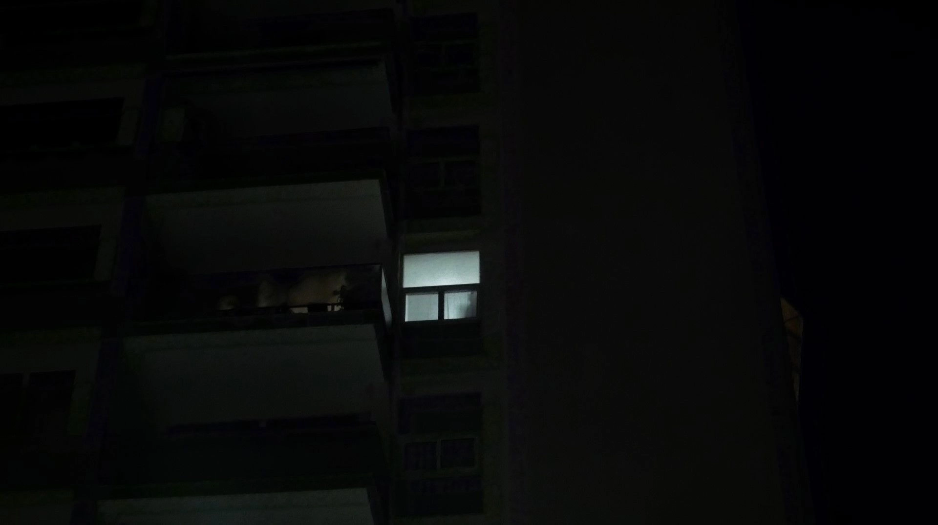 Midnight Hunger