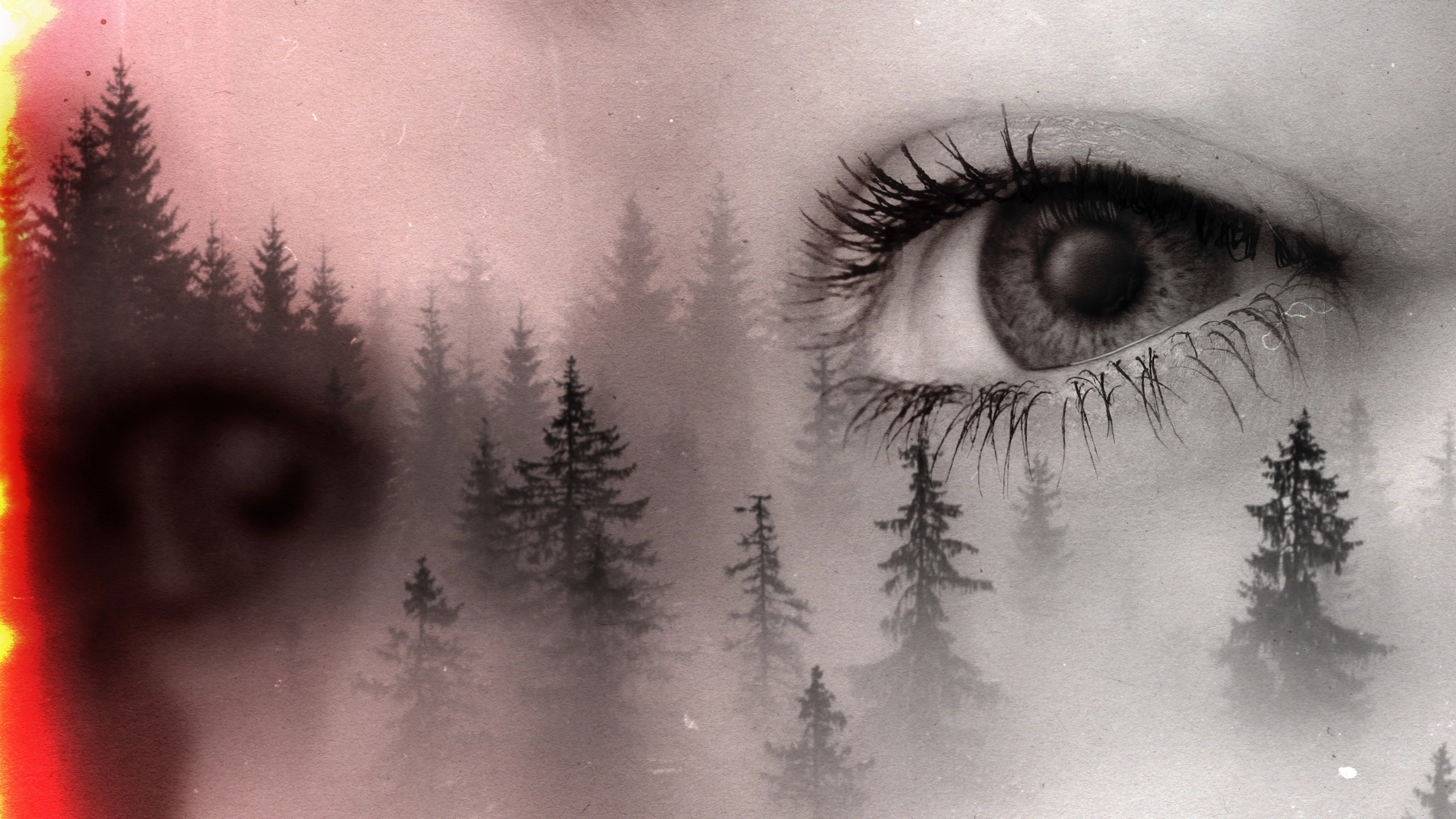The Missing