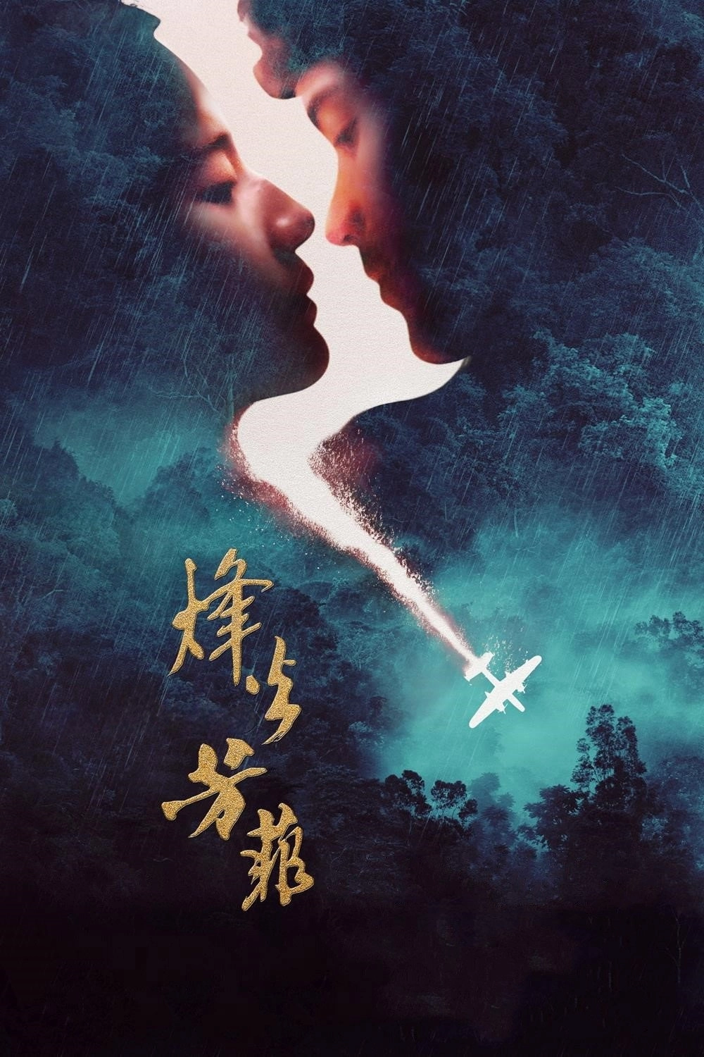 The Chinese Widow