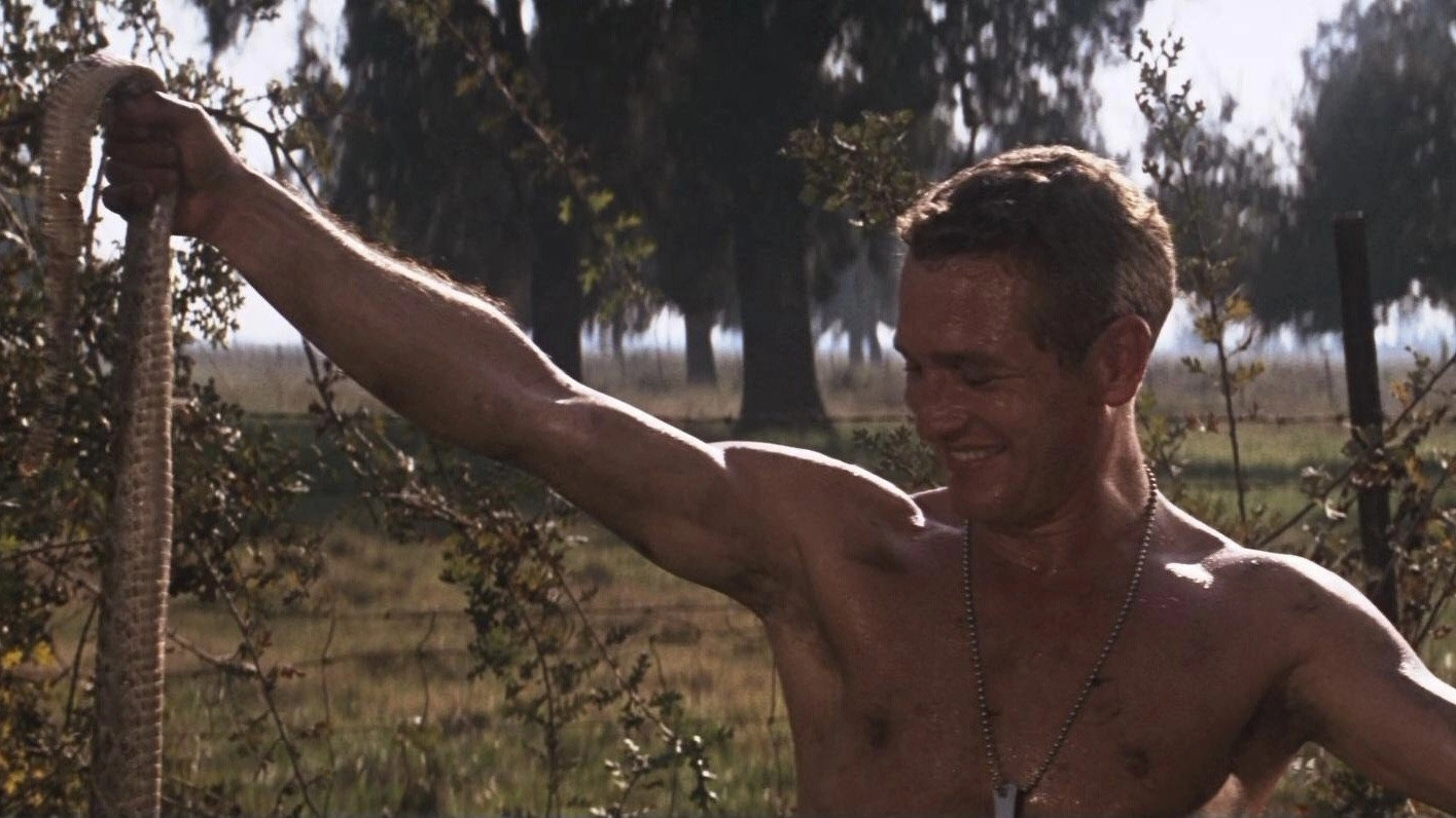 Cool Hand Luke