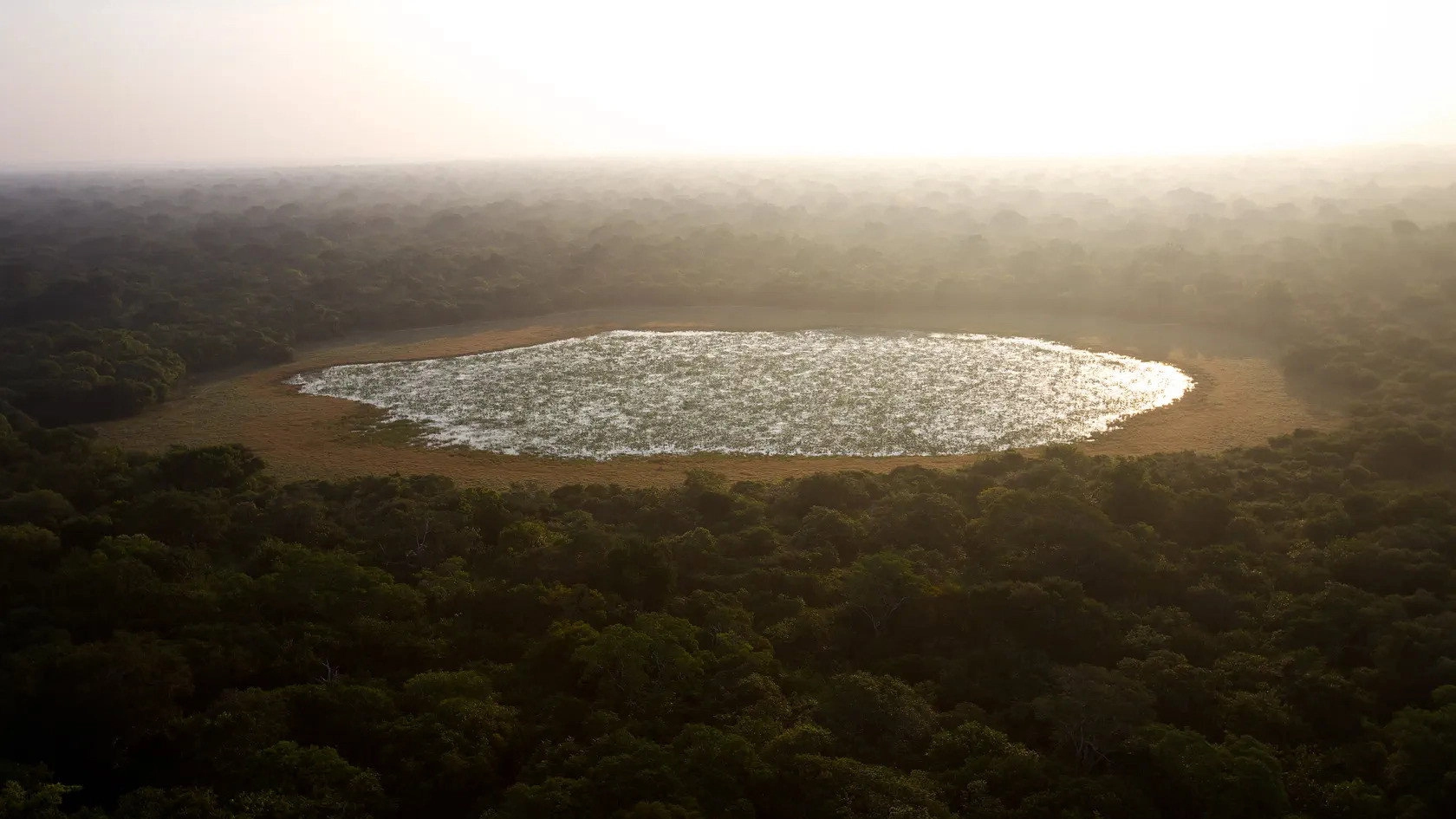Wild Sri Lanka