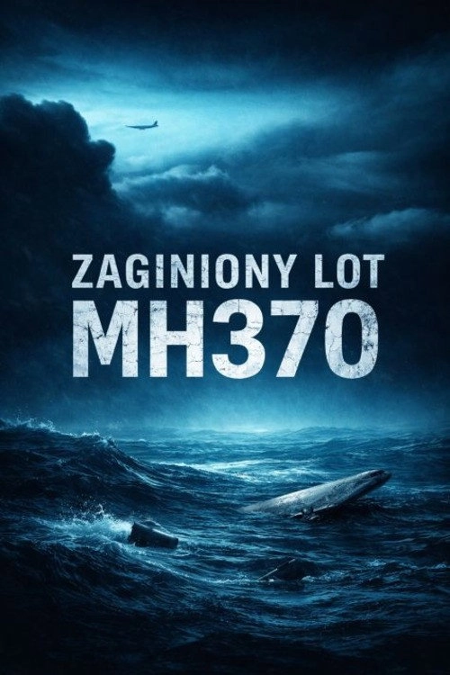 MH370: Missing