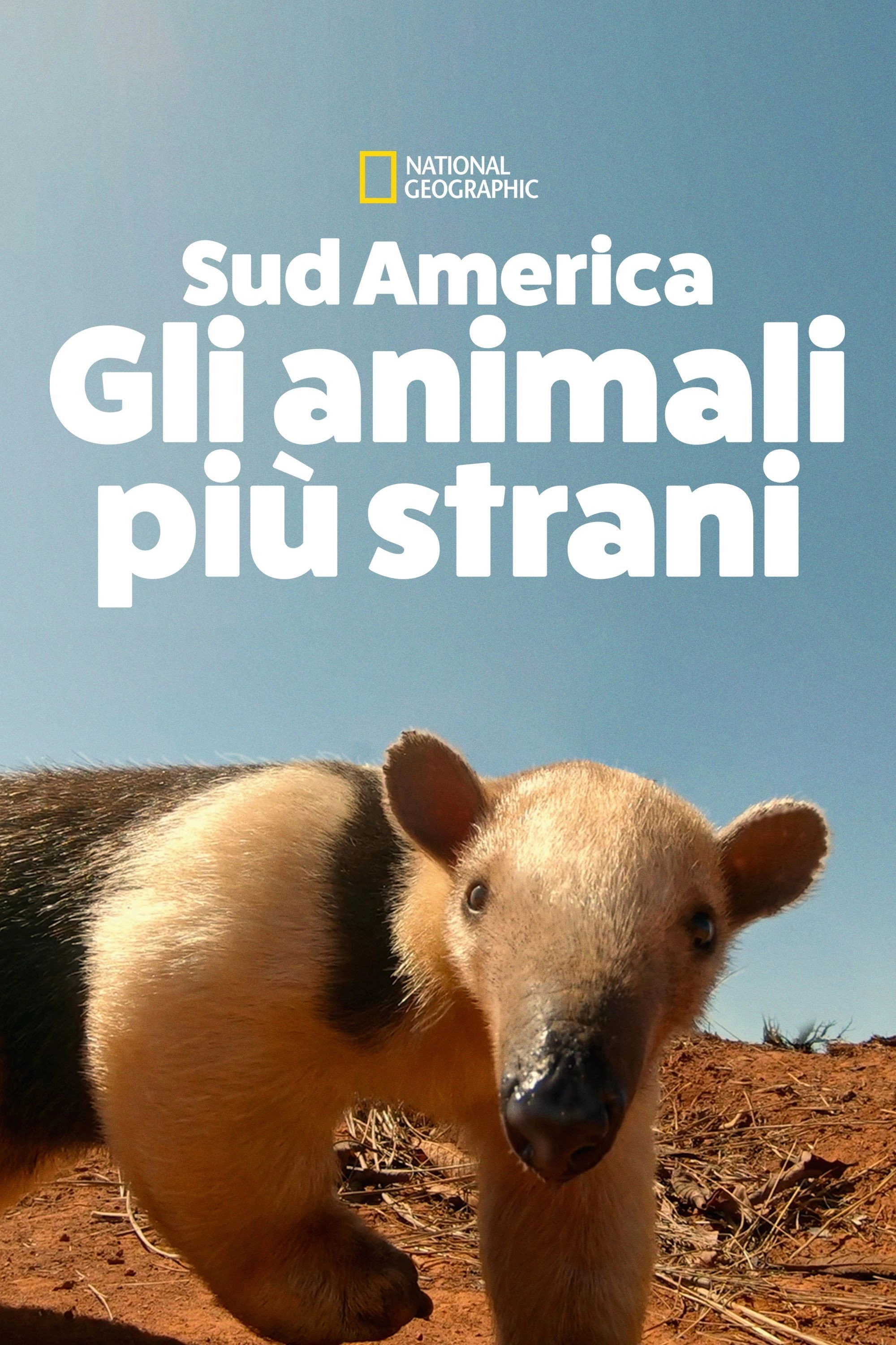 South America's Weirdest Animals