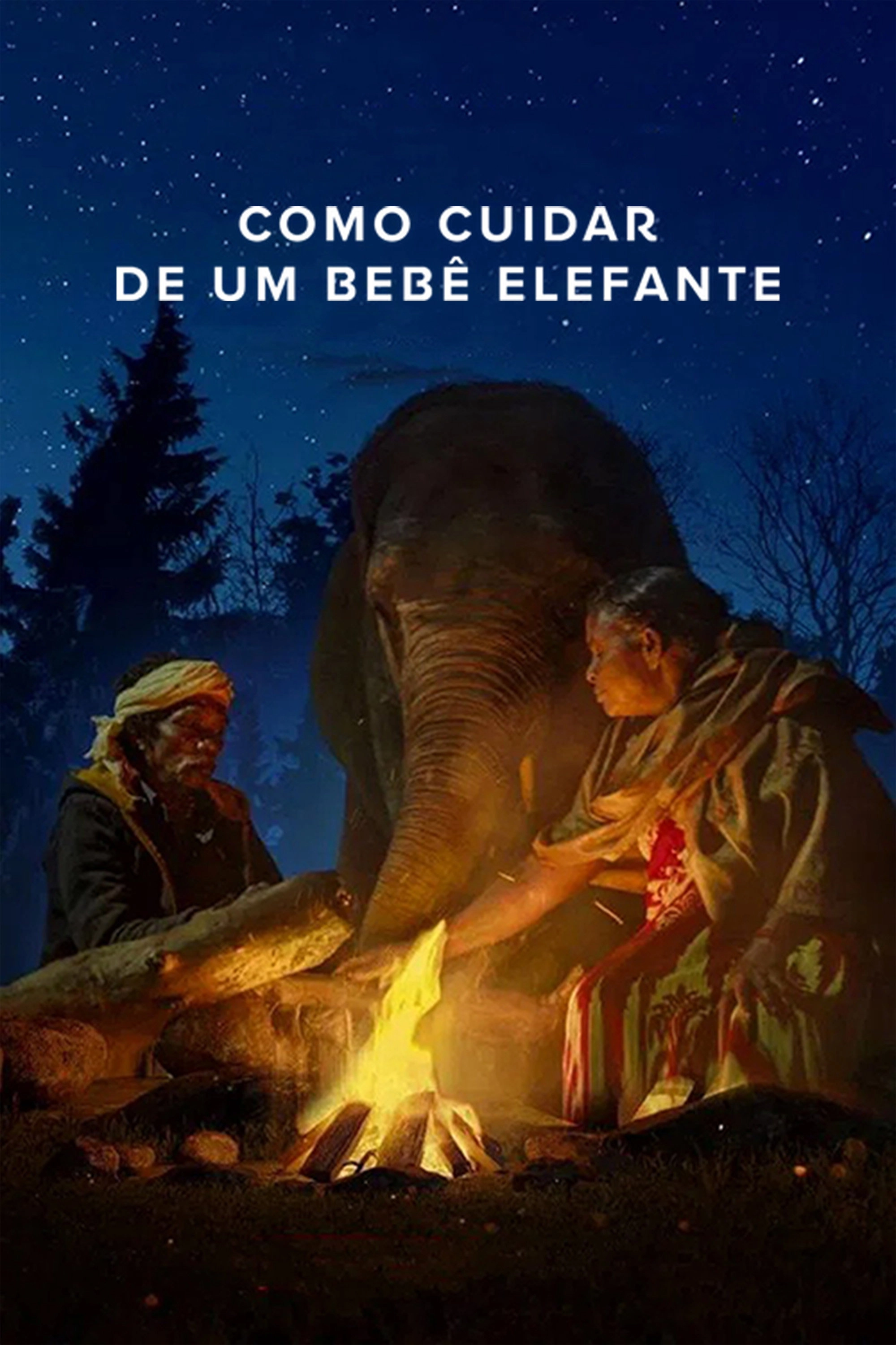 The Elephant Whisperers