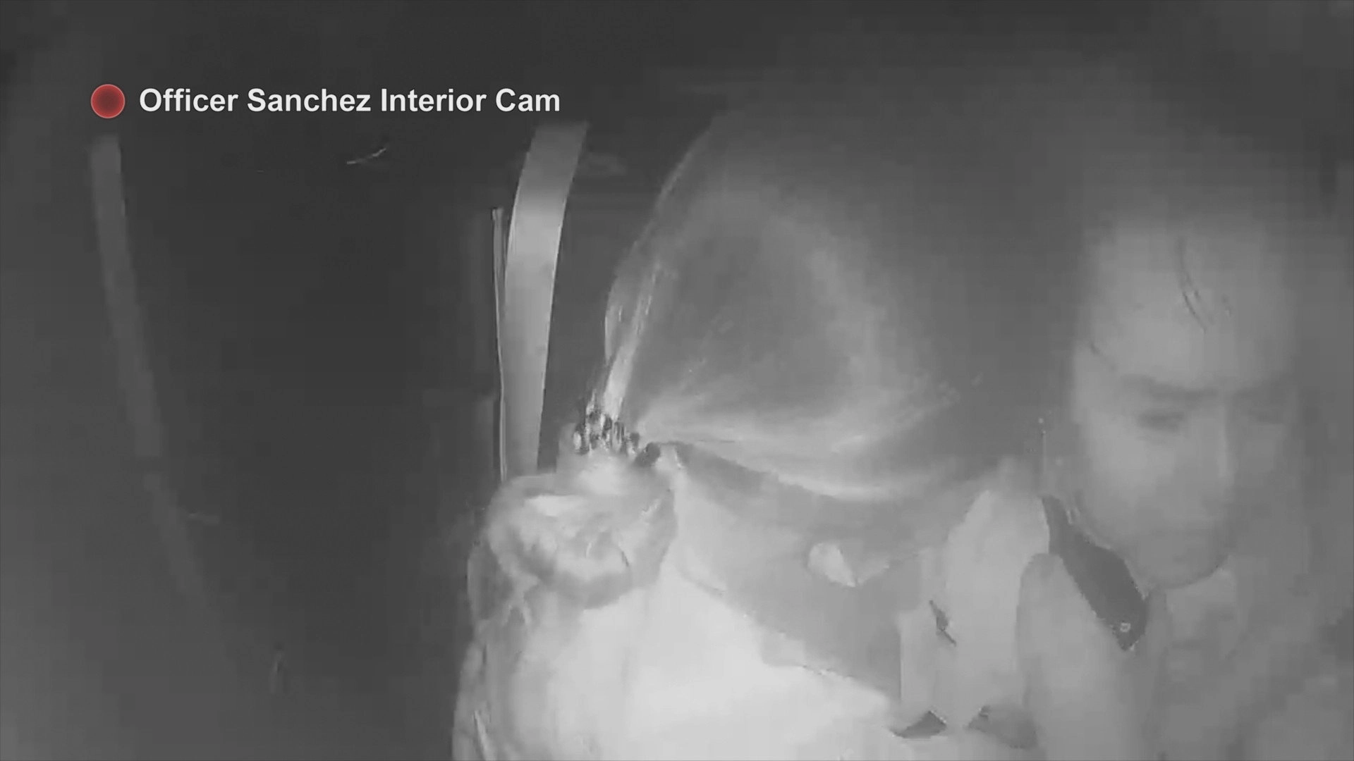 Body Cam