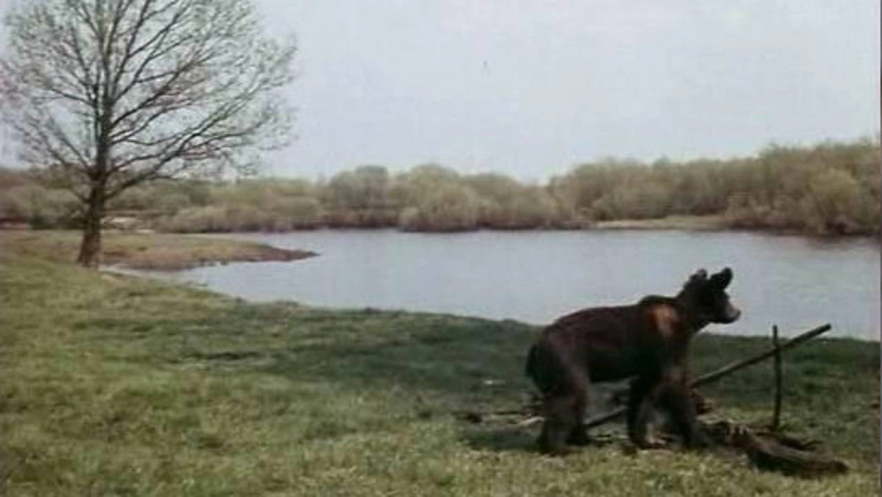 Little Bear, Baby and Others
