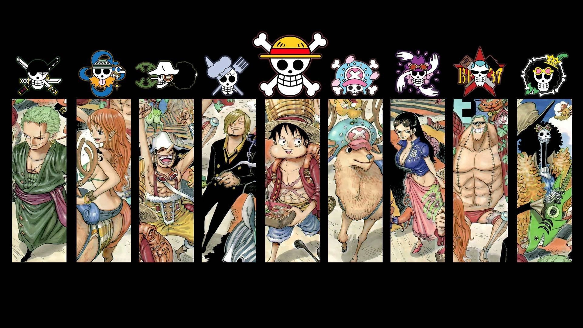 One Piece Characters Log