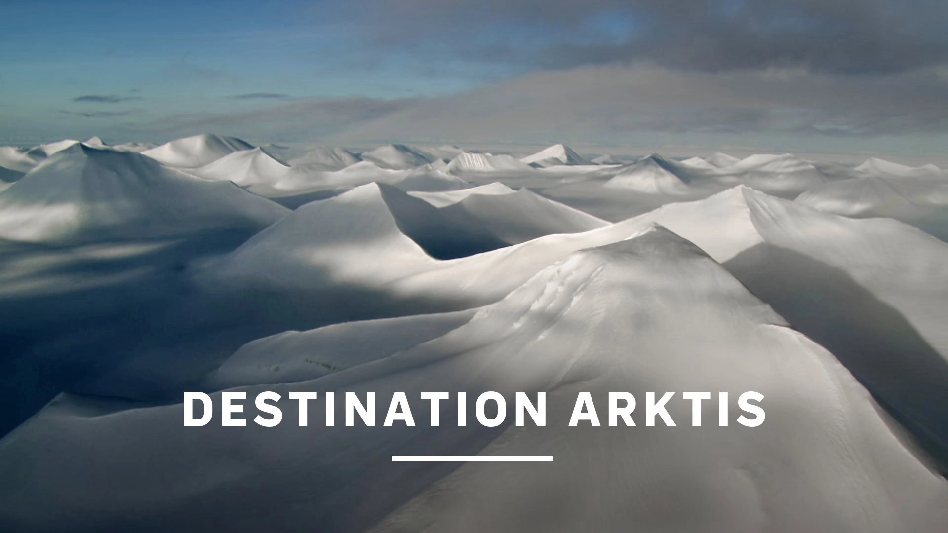 Wild Arctic