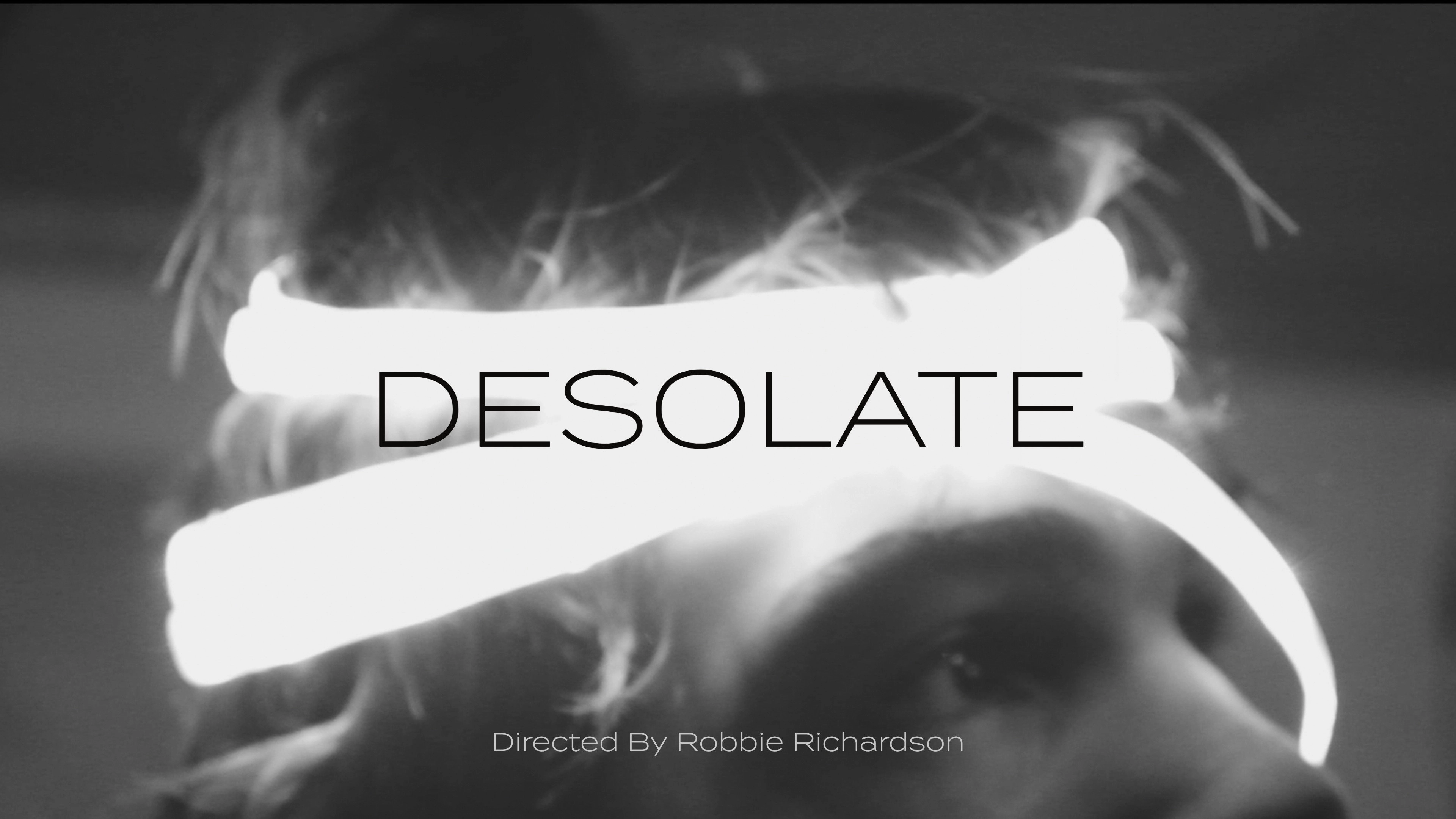 DESOLATE