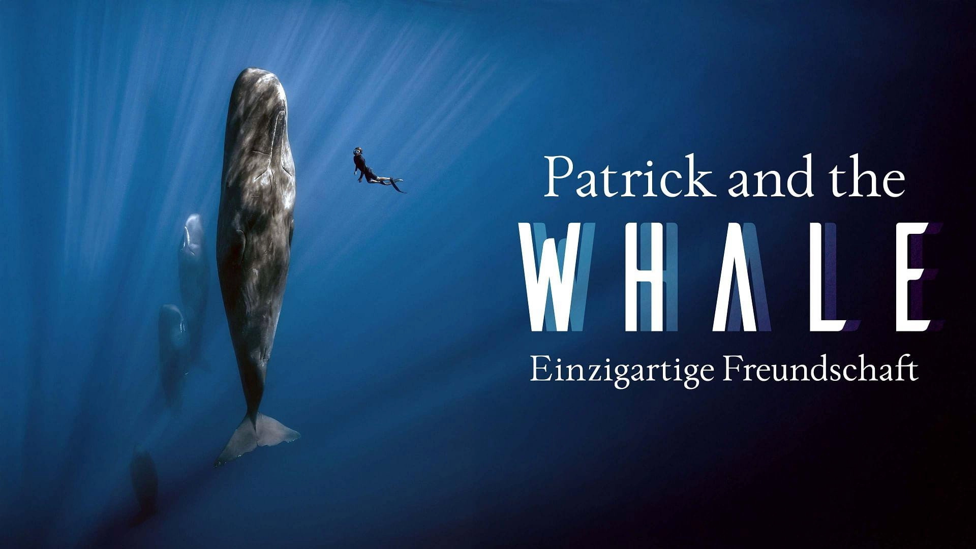 Patrick and the Whale