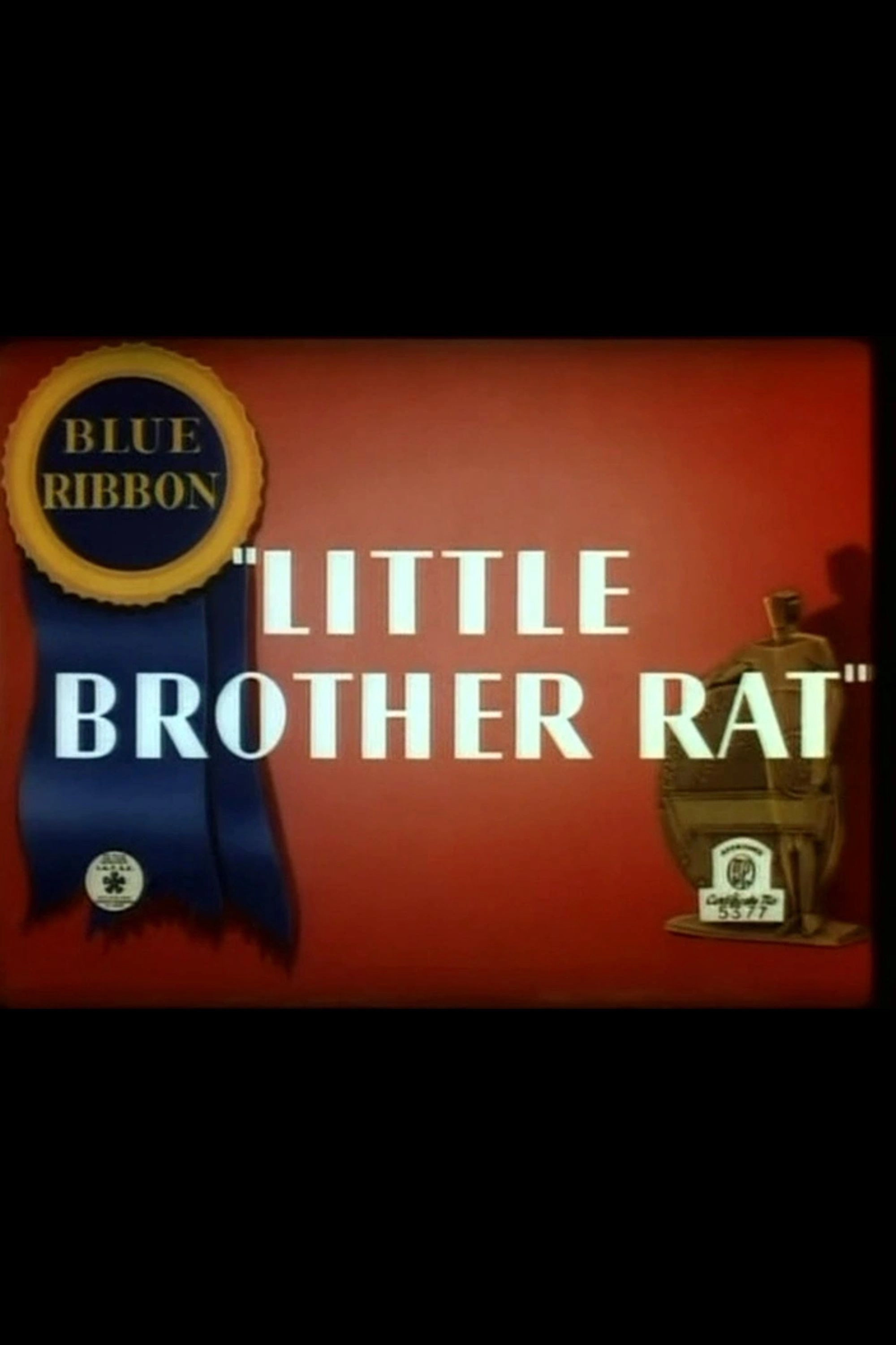 Little Brother Rat
