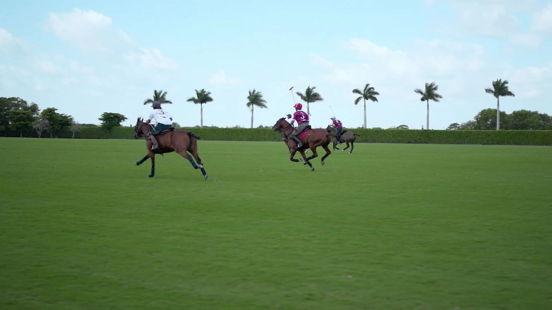 Polo