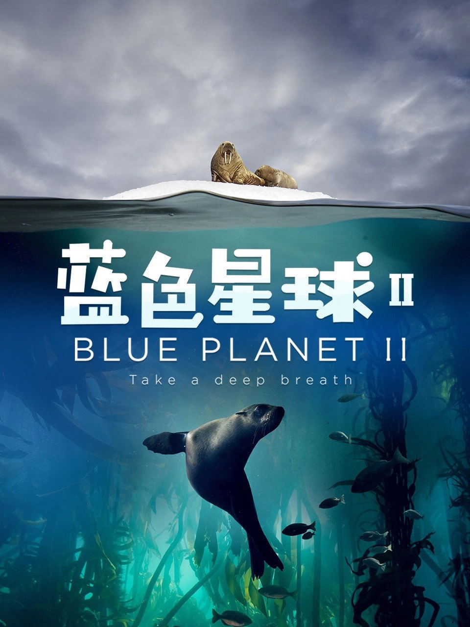 Blue Planet II