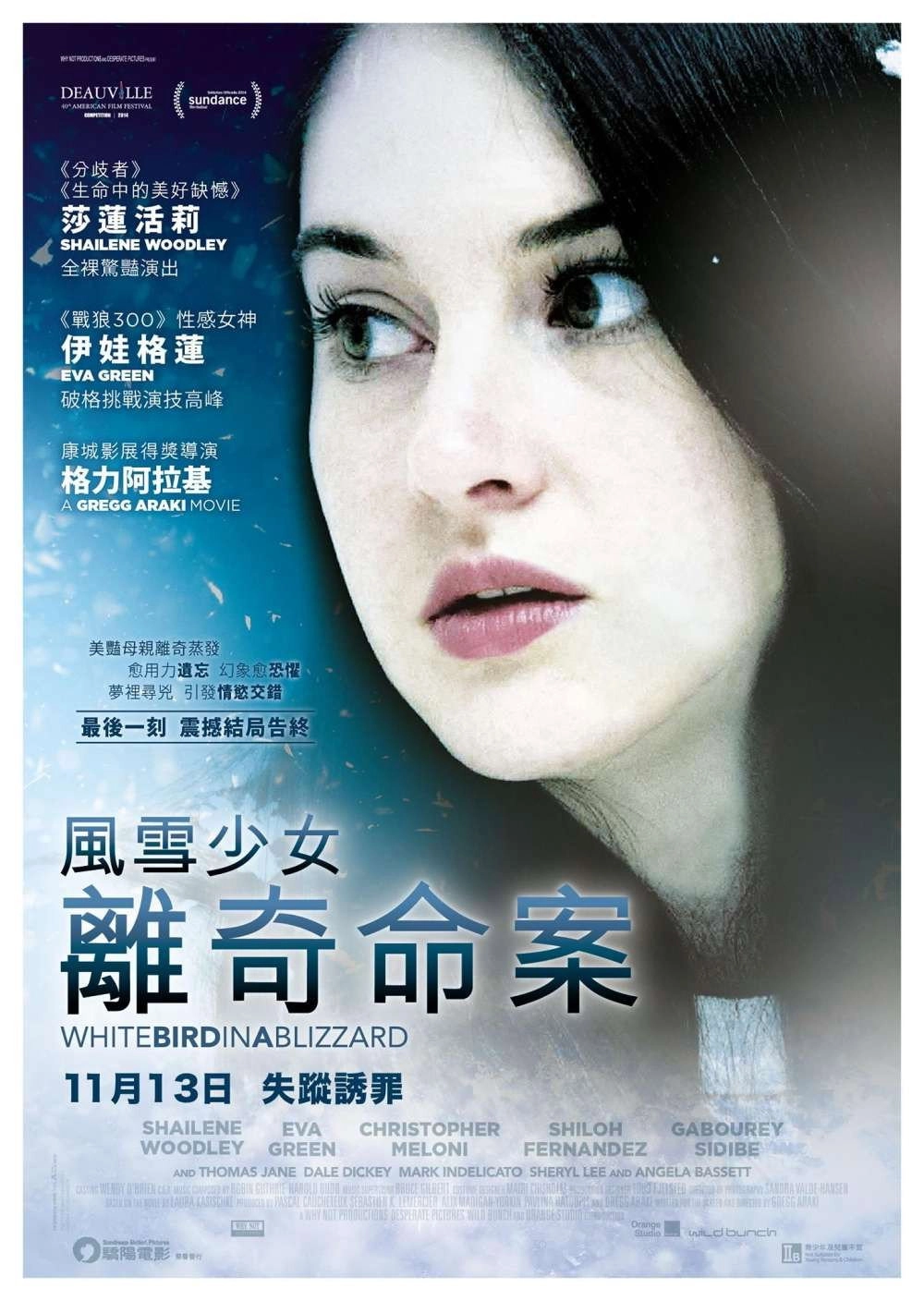 White Bird in a Blizzard