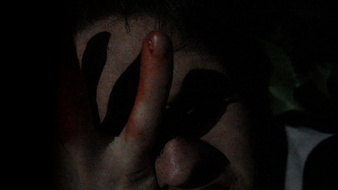 Blood in the Woods