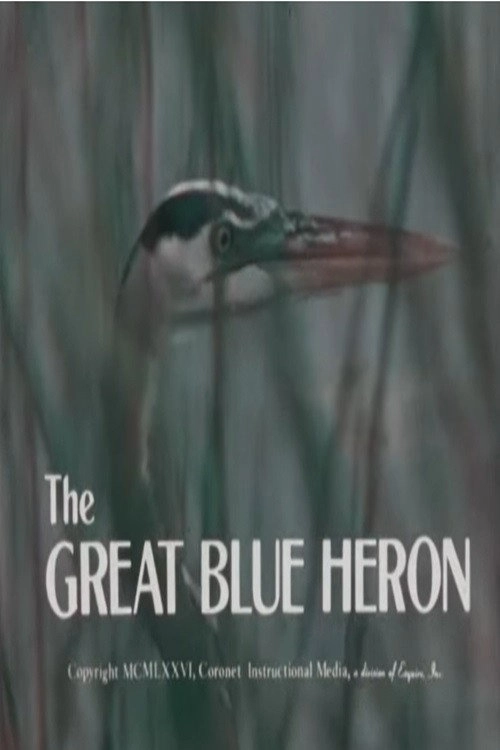 3 Weeks After