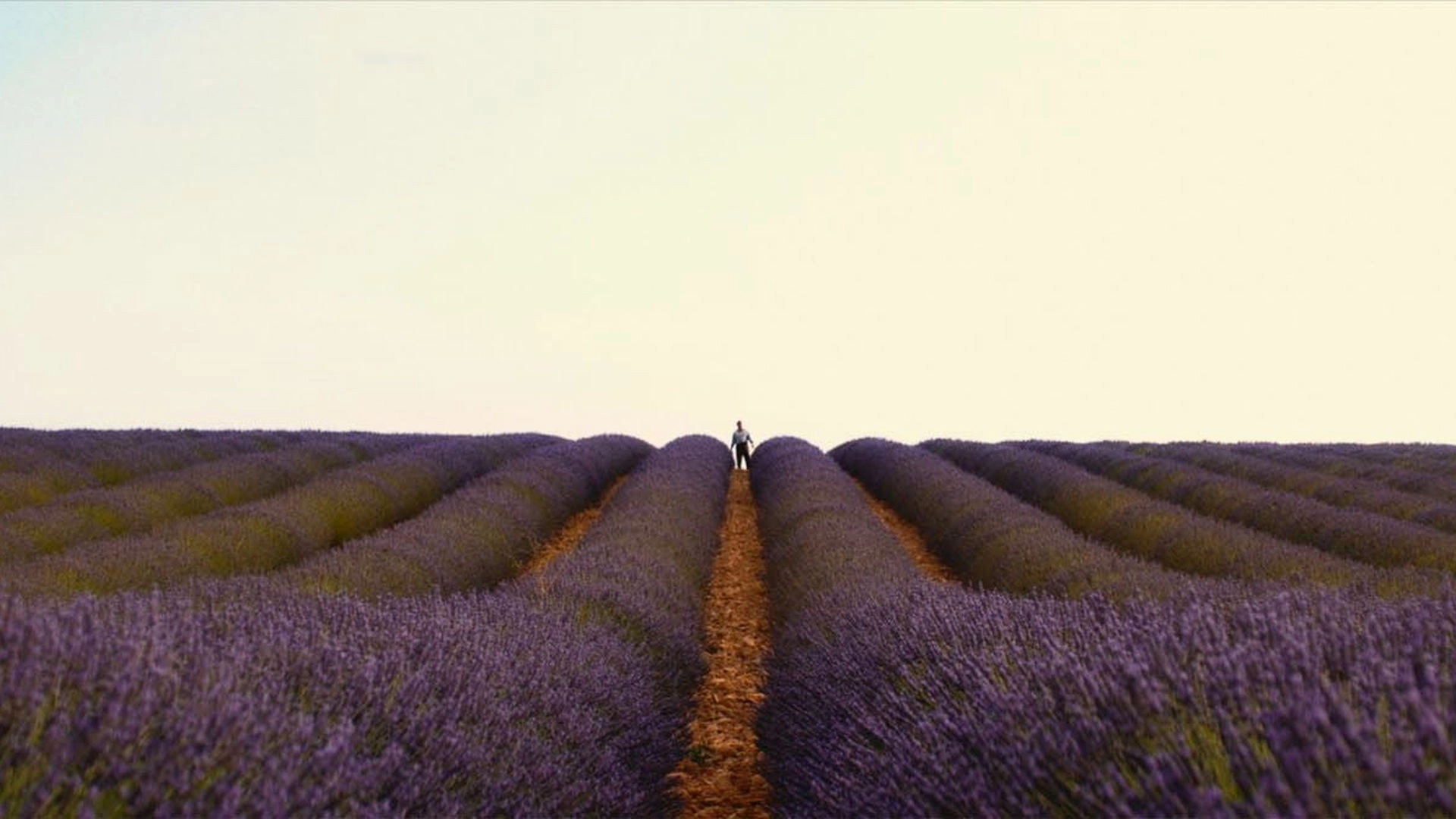 Valensole 1965