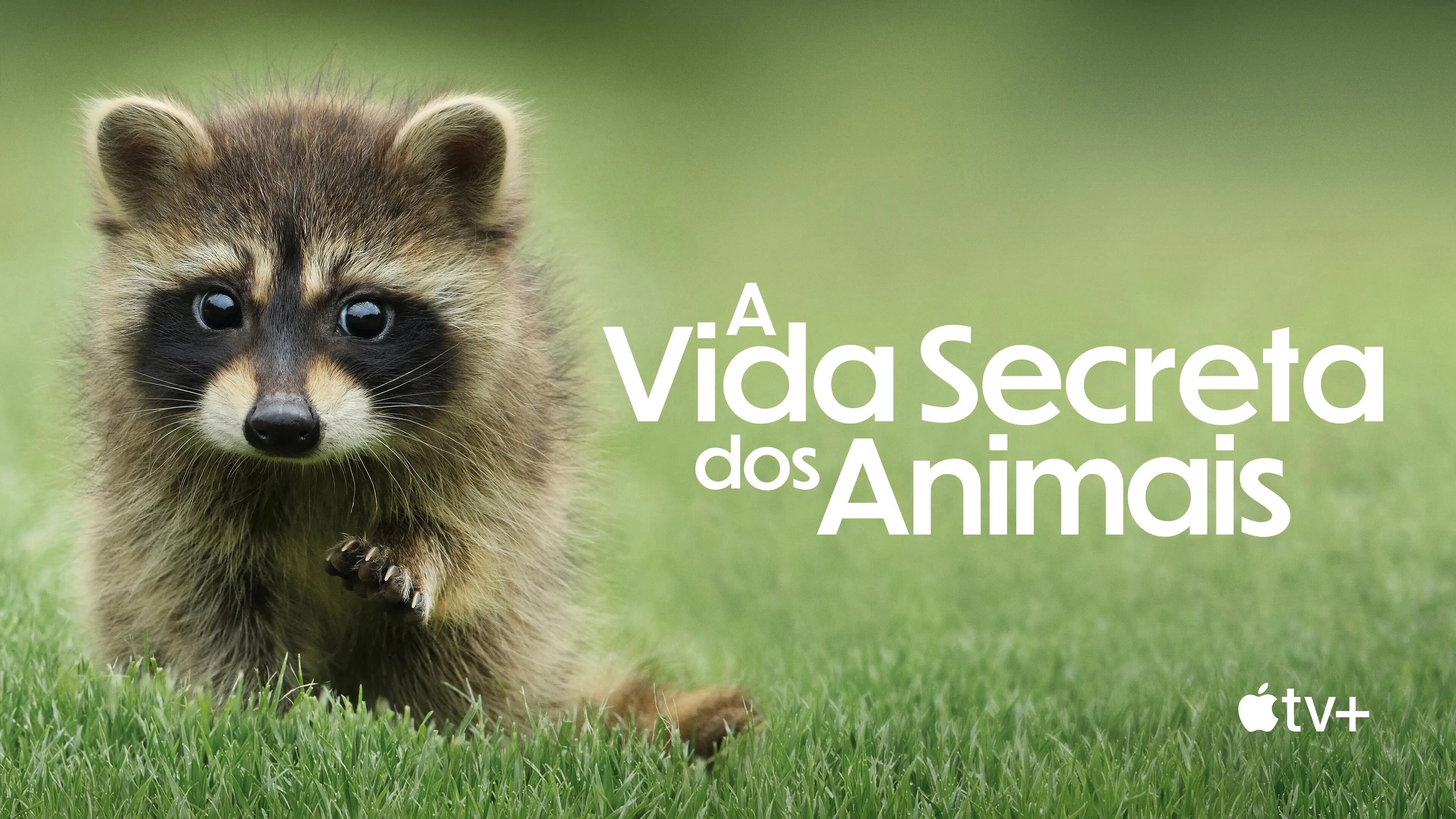 The Secret Lives of Animals