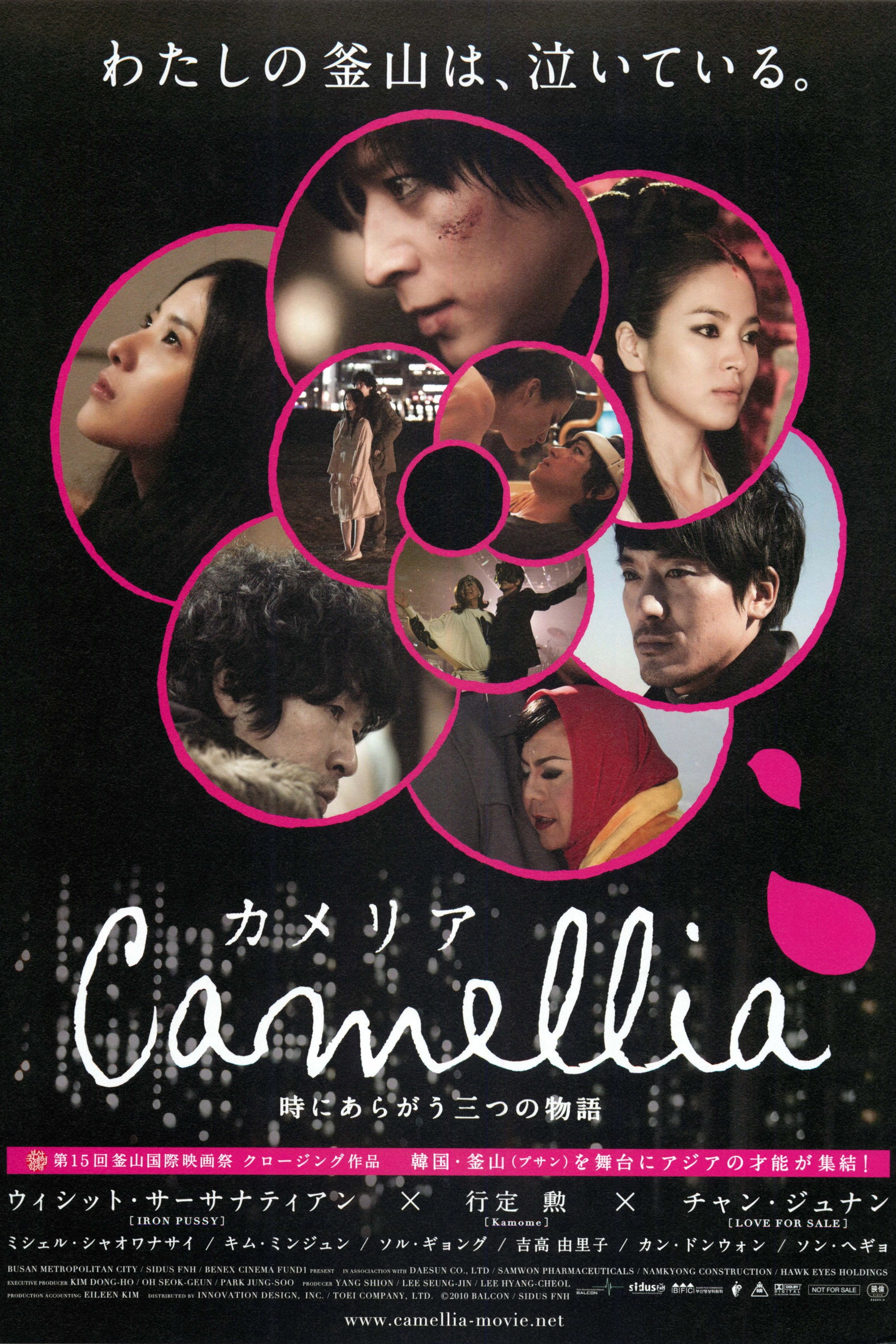 Camellia