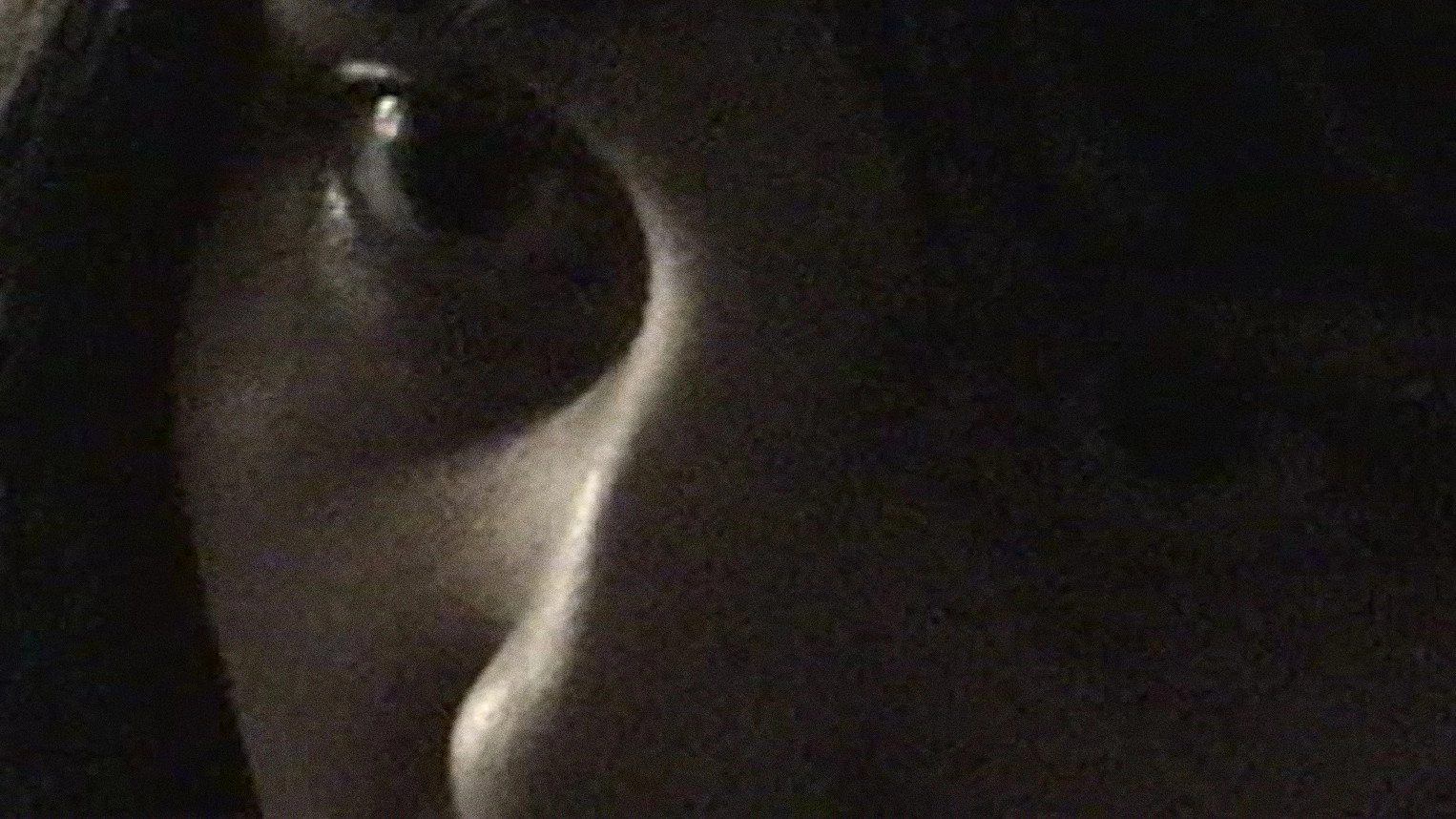 Castration Movie Anthology iii. Year of the Hyaena