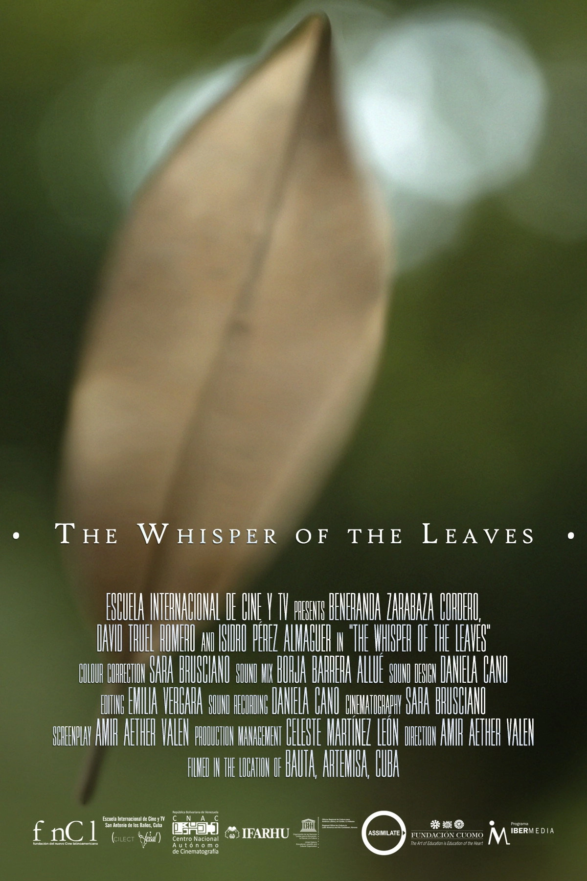 The Whisper of the Leaves