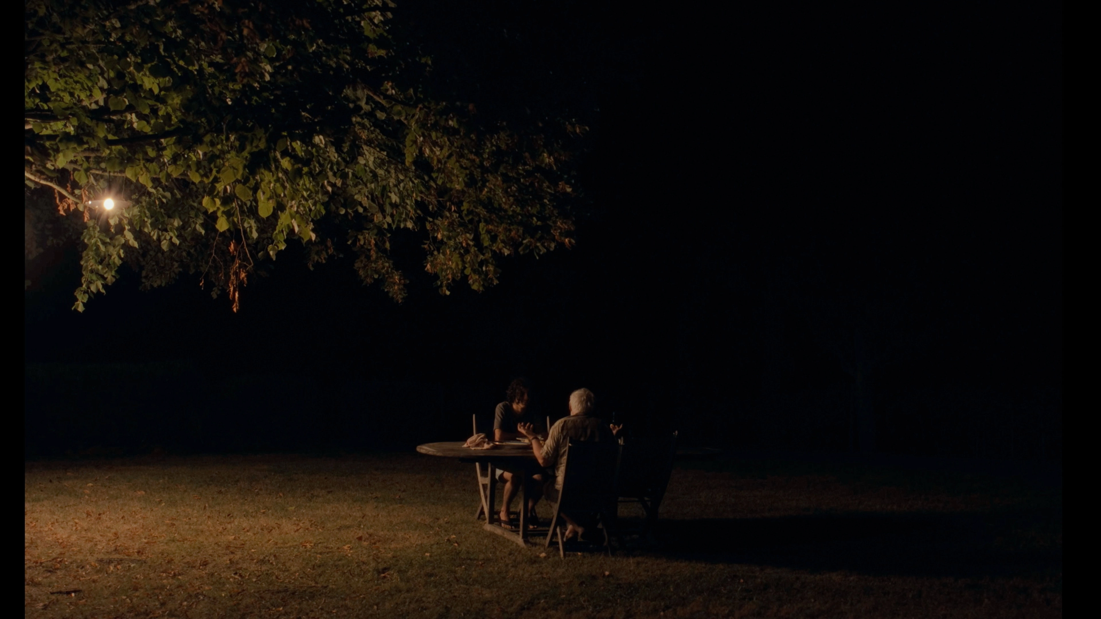 les grillons.