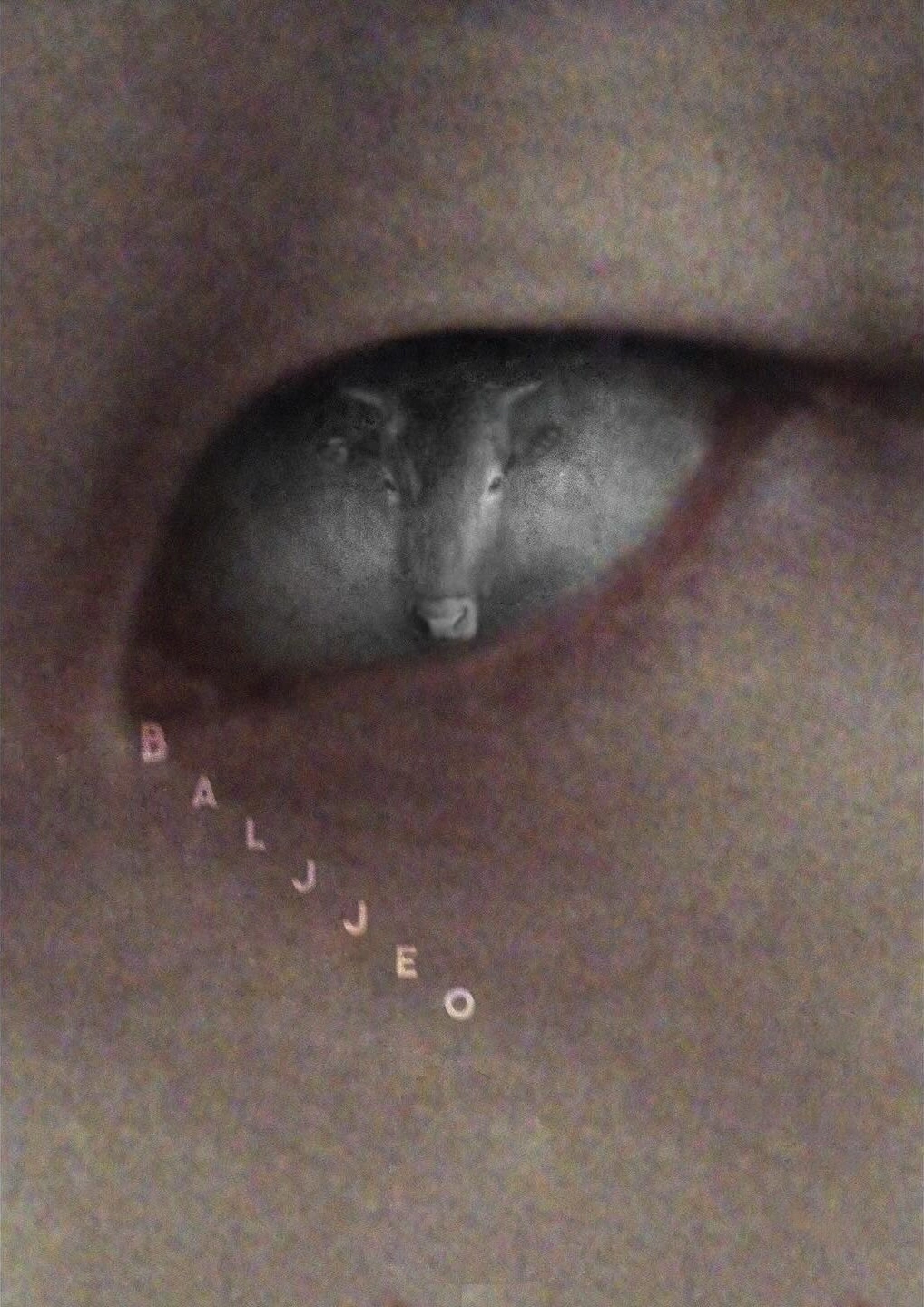 Baljjeo