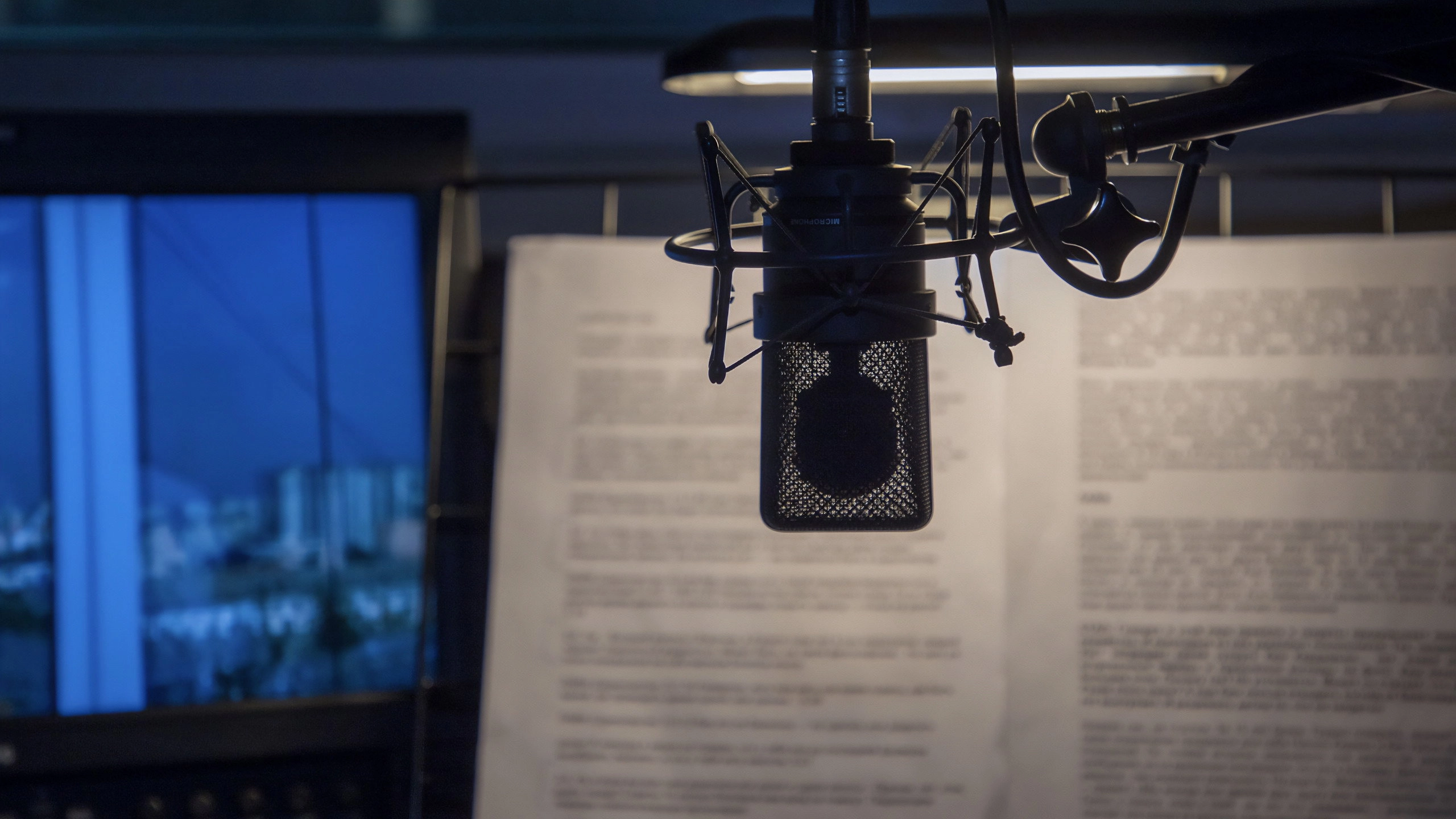 Le voci del doppiaggio italiano