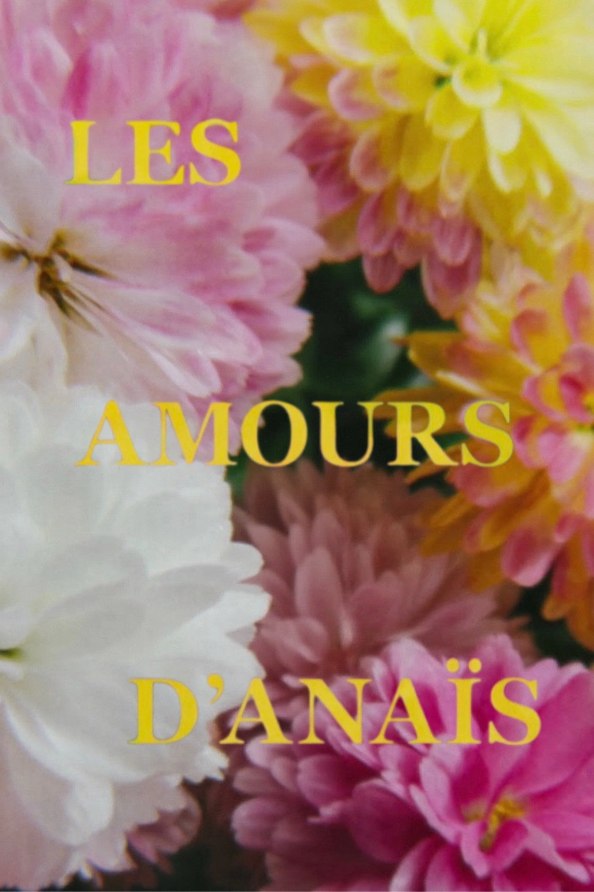 Anaïs in Love