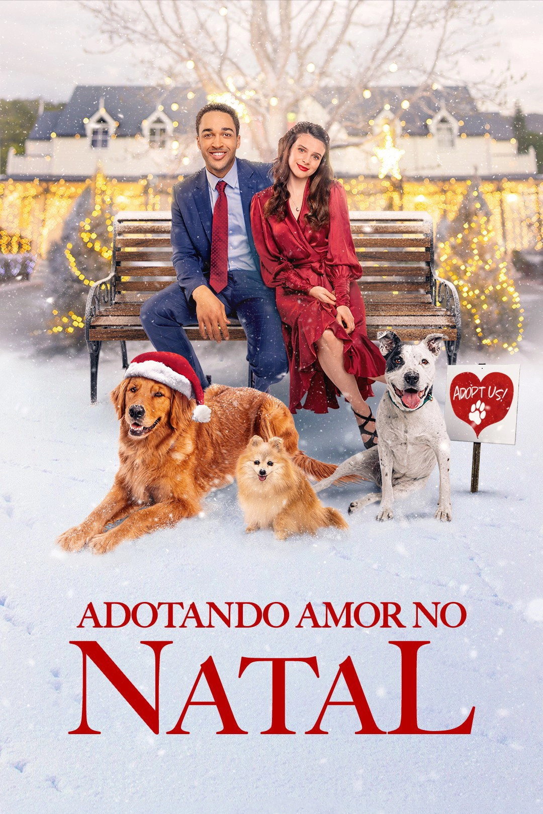 The Dog Days of Christmas