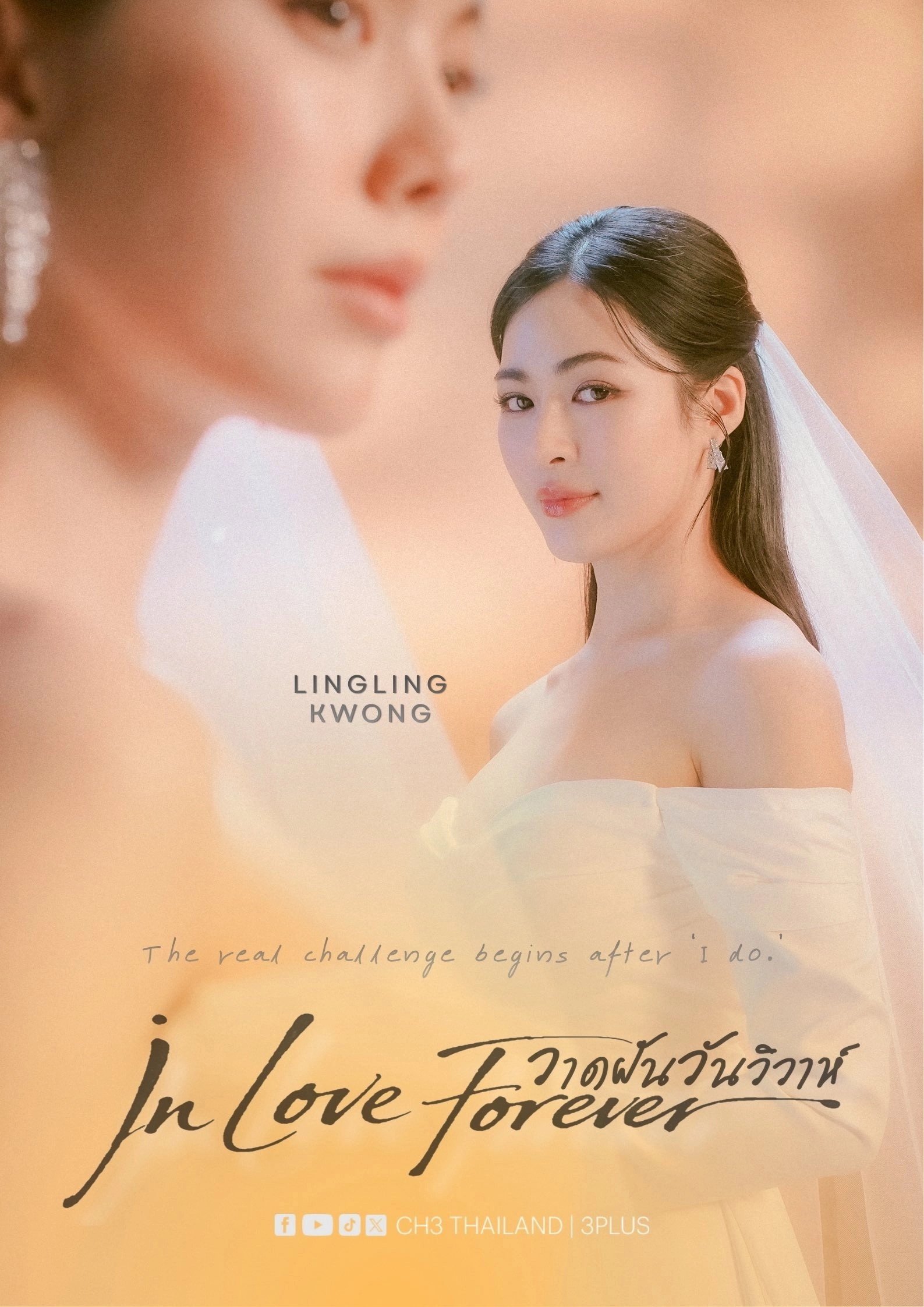 In Love Forever The Series