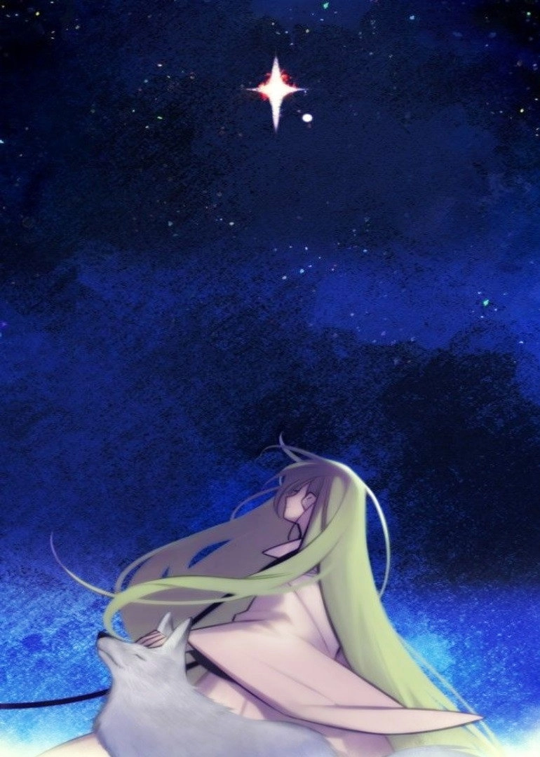 Fate/strange Fake
